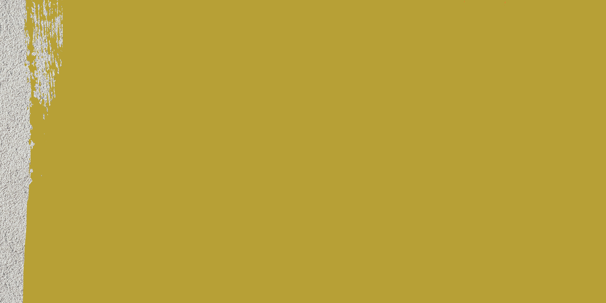 32,049 trees, plants and shrubs planted 