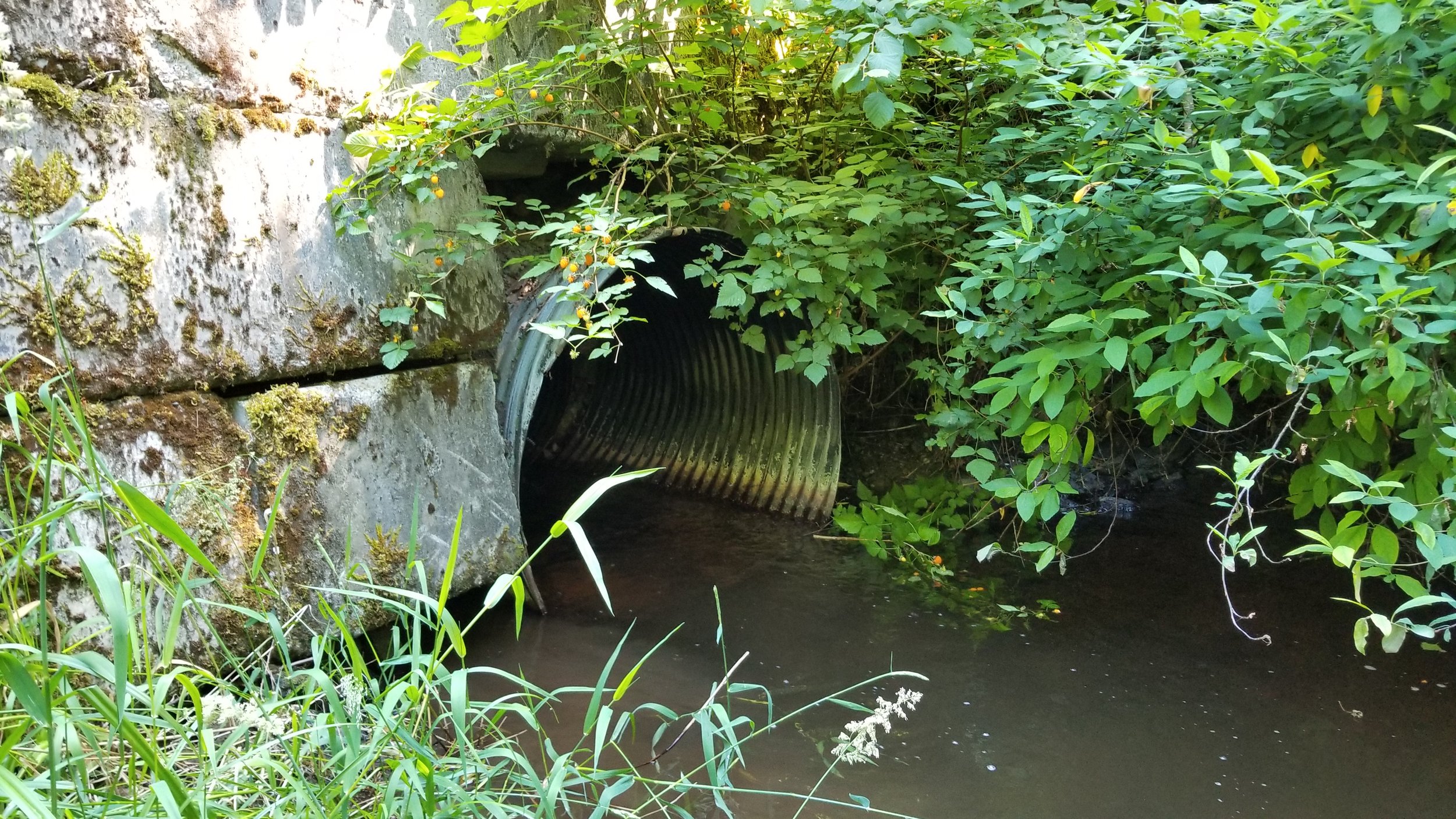 Culvert before1.jpg