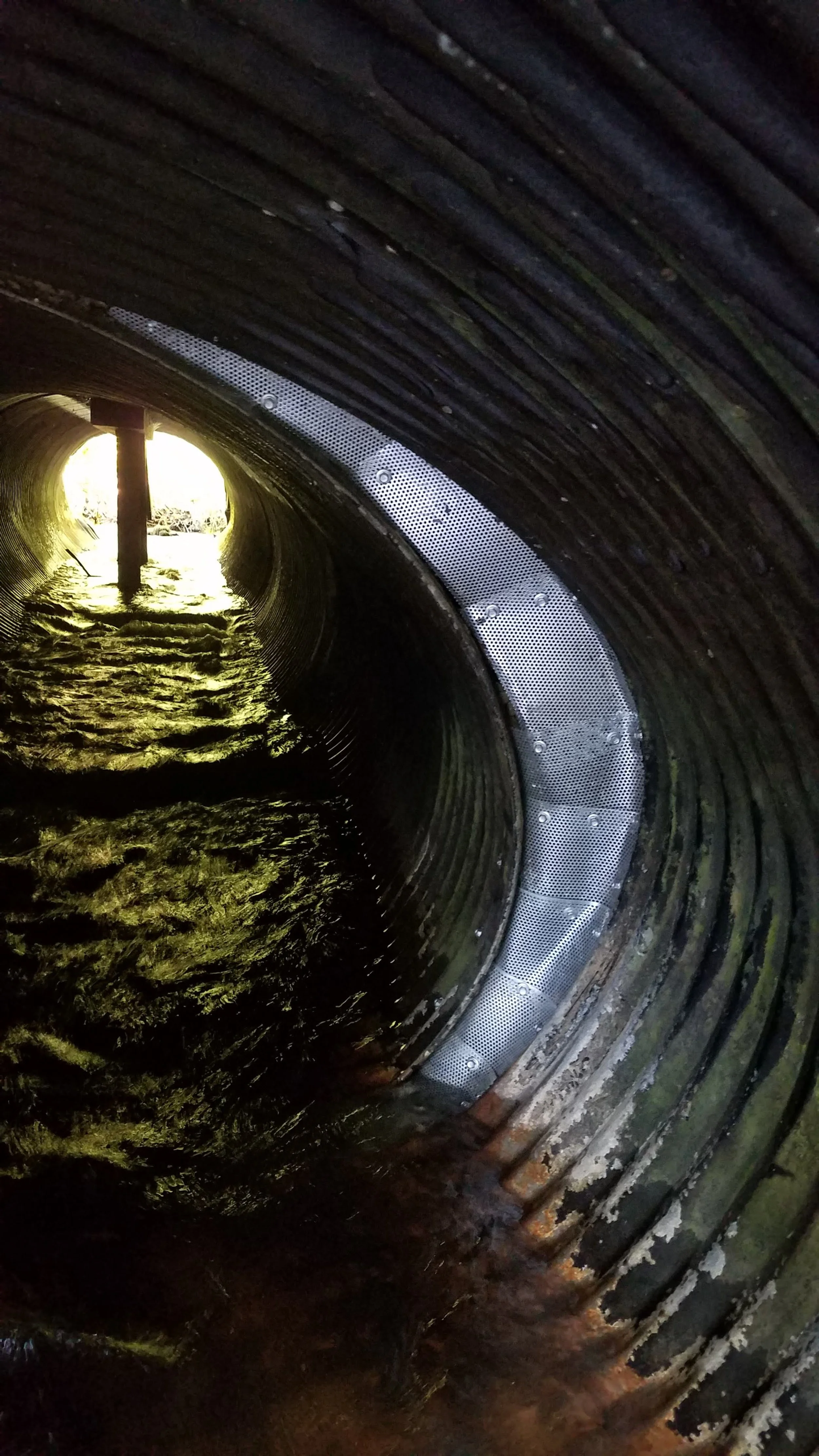 Steel mesh reinforcement.jpg