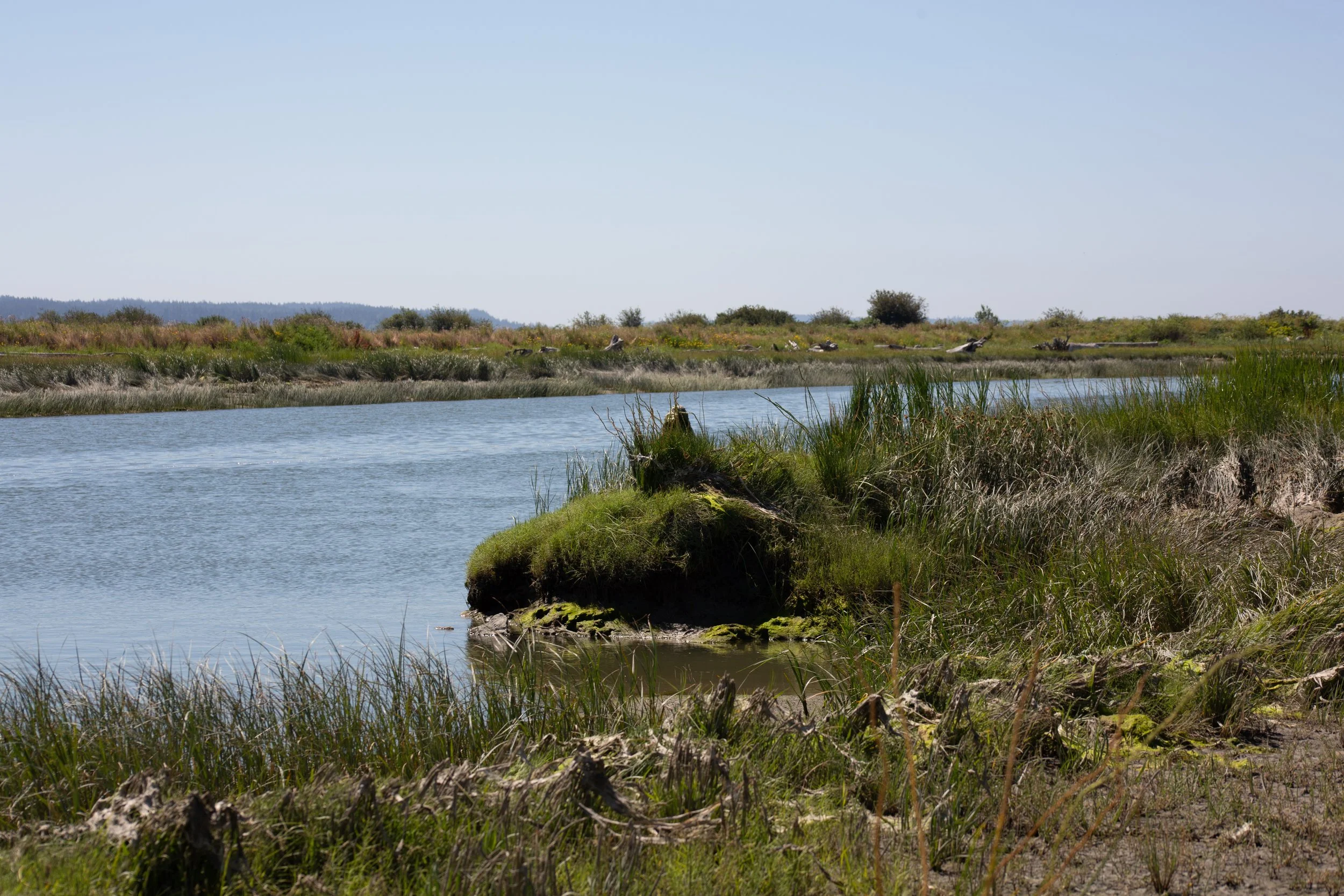 Copy of KEQ_2515.jpeg