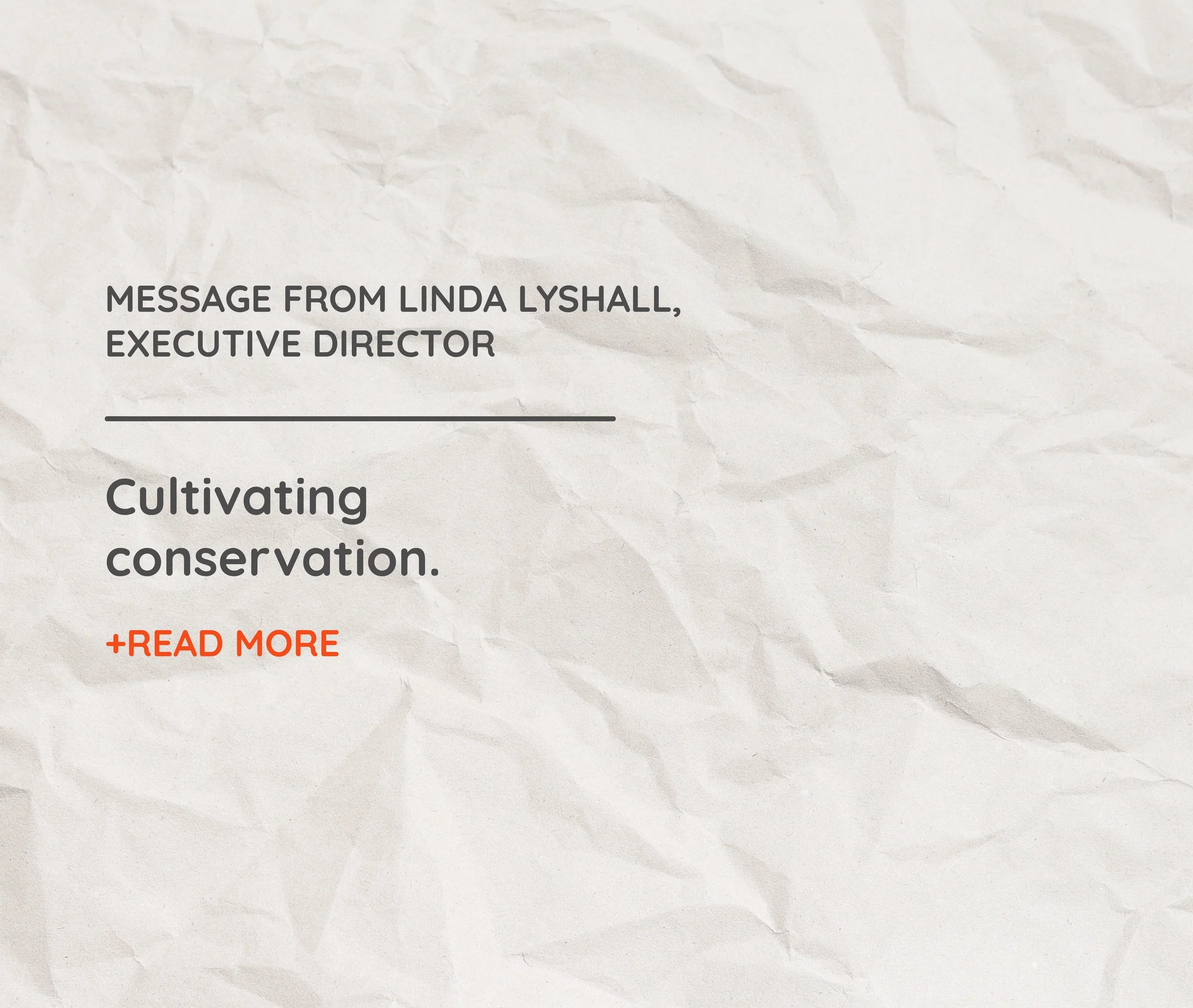 2023 Annual report-02.jpg