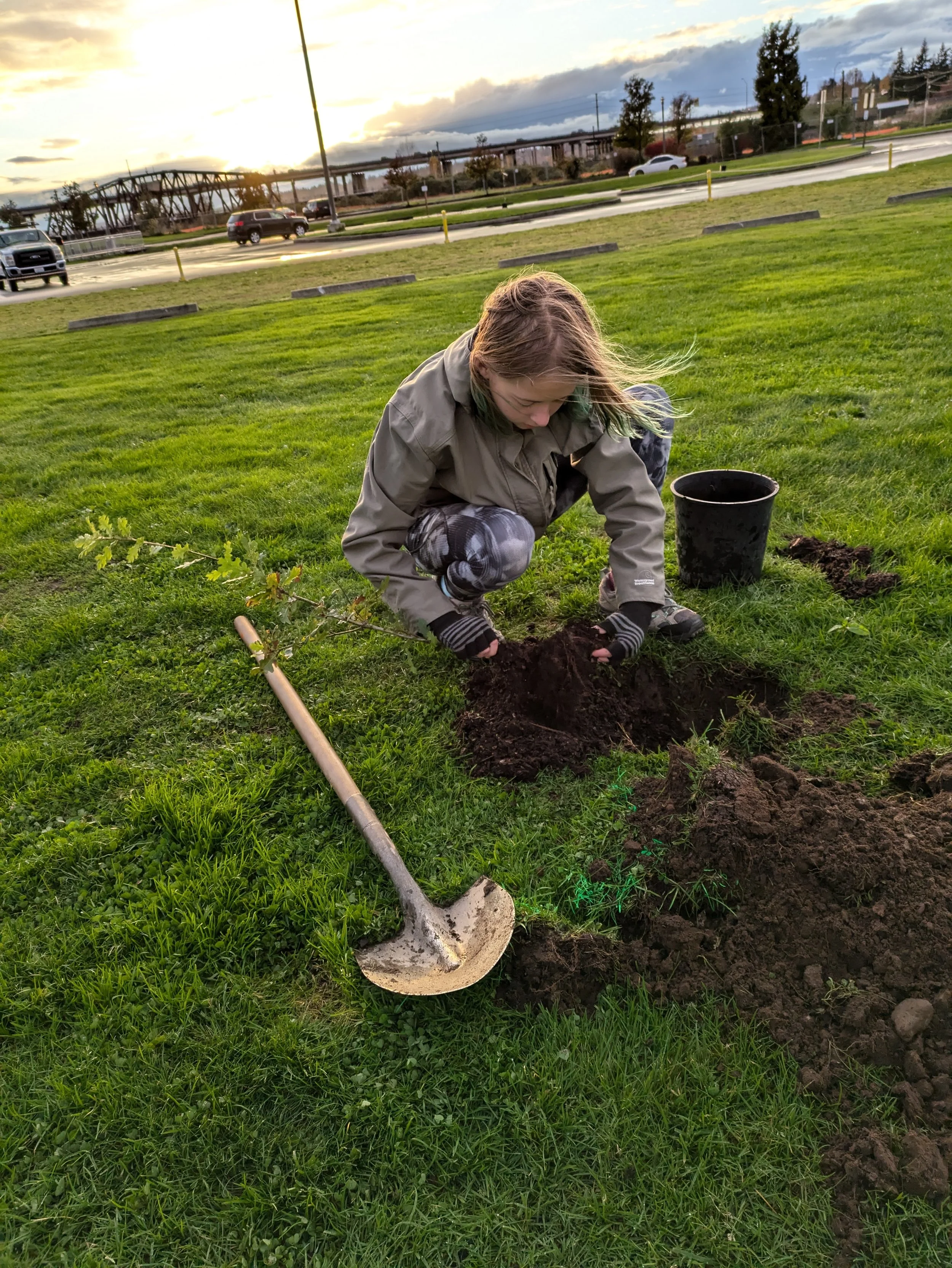Urban and Community Trees For a Better Tomorrow