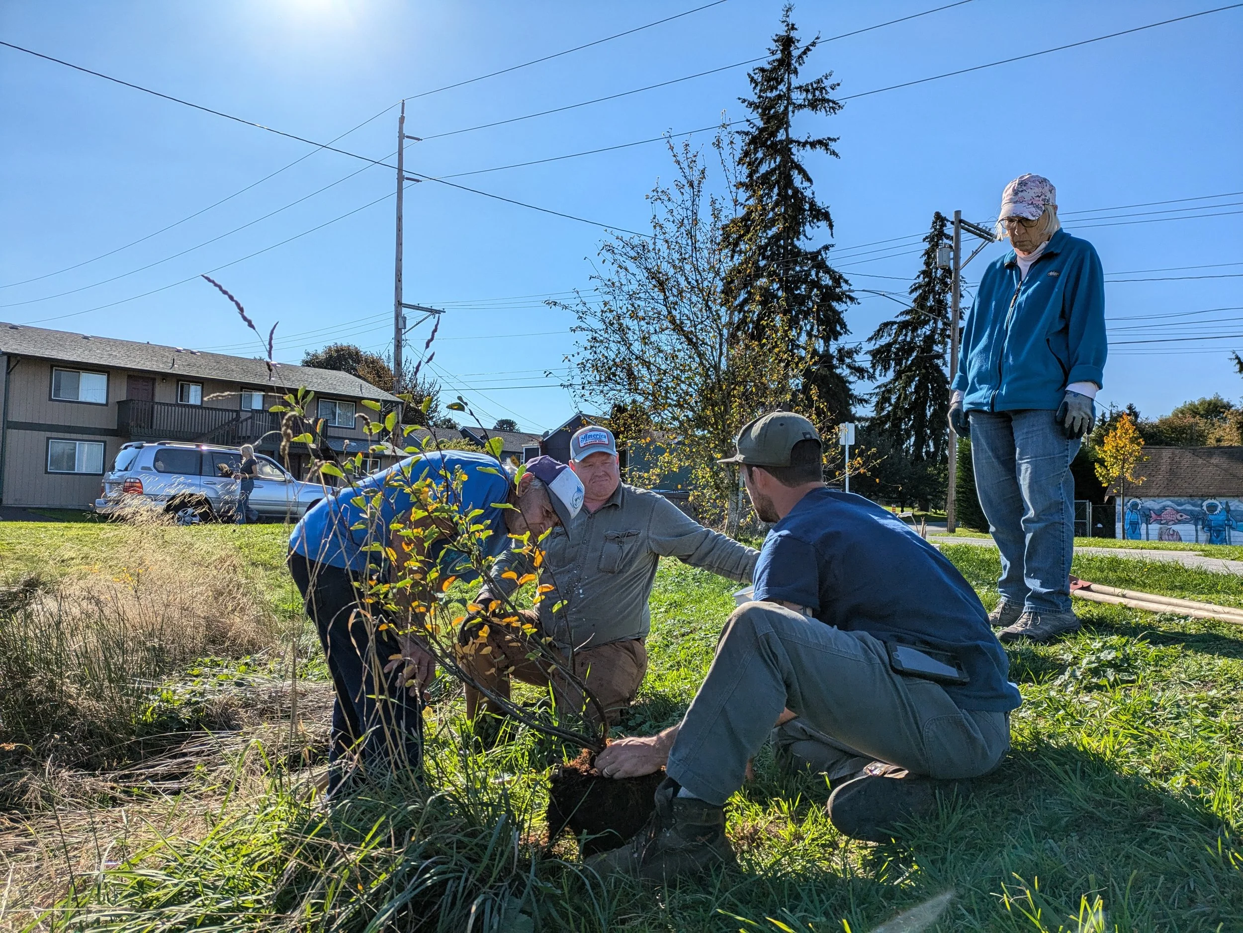 Urban and Community Trees For a Better Tomorrow — Snohomish ...