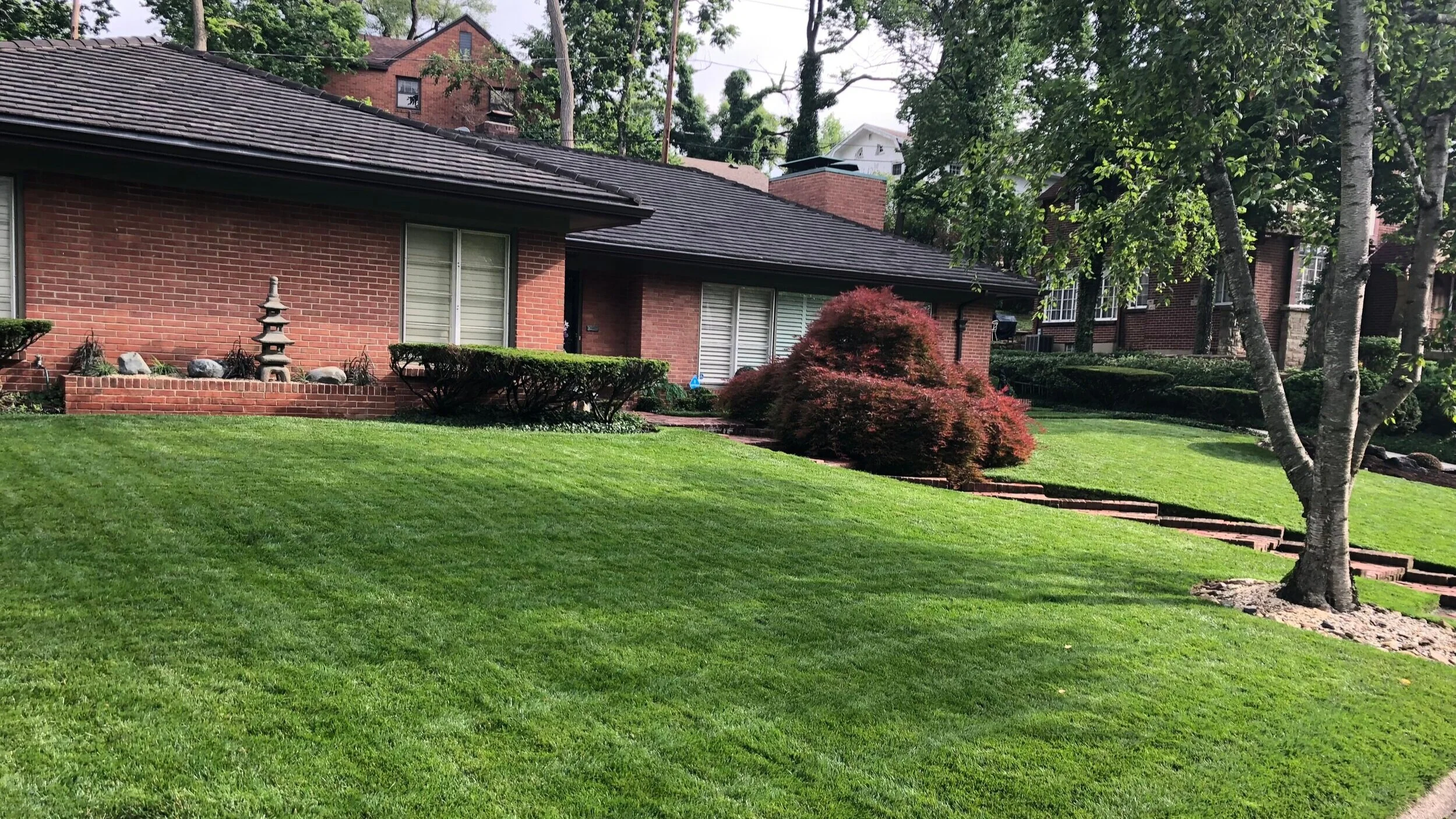 Common Sense Lawn Care