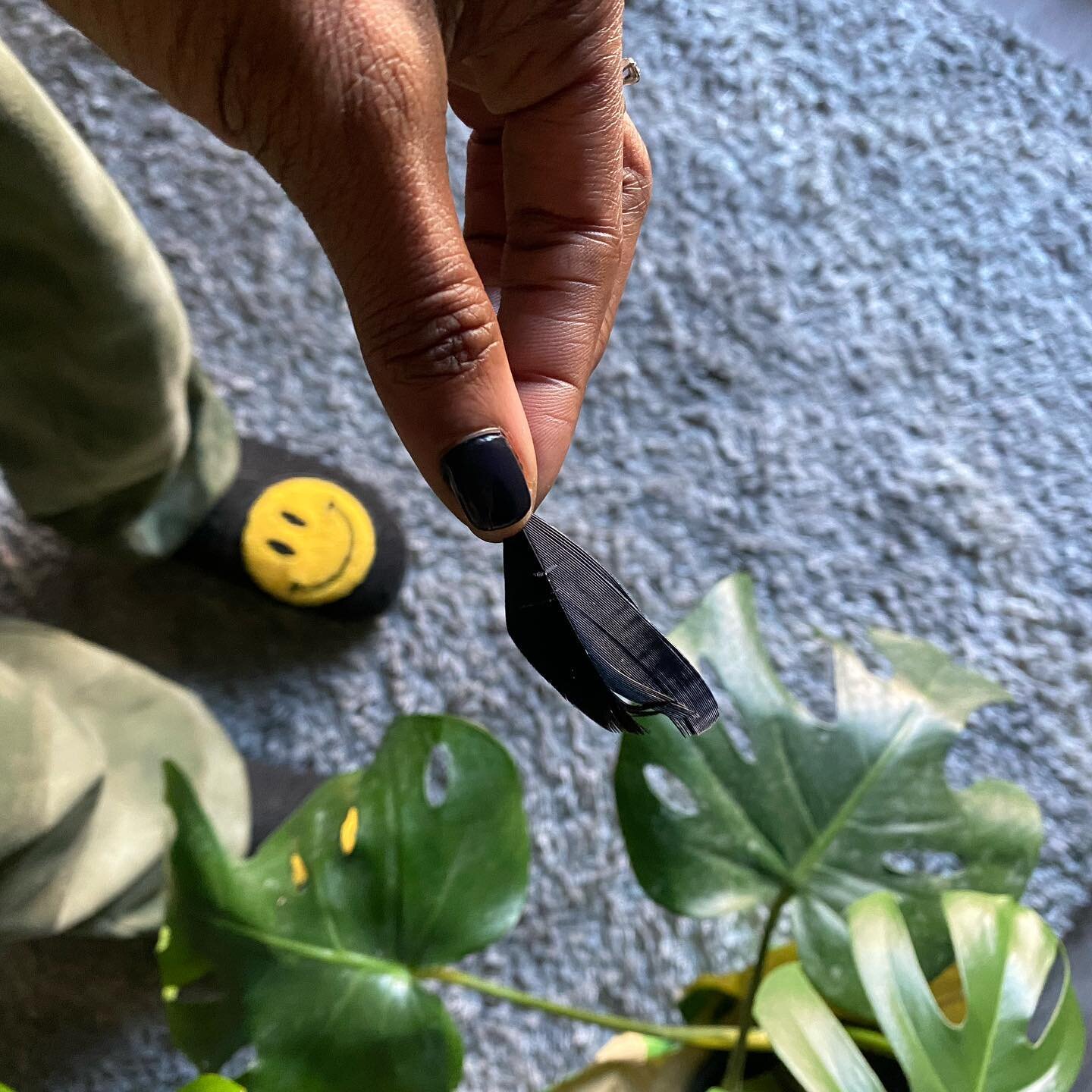Little black feather found me this morning&hellip;🖤🪶💫

I then felt compelled to use my crow deck. 

So enjoy the message if it resonates.😊

I literally just spoke to my friend the other day, while I was on the phone with her she found a feather&h