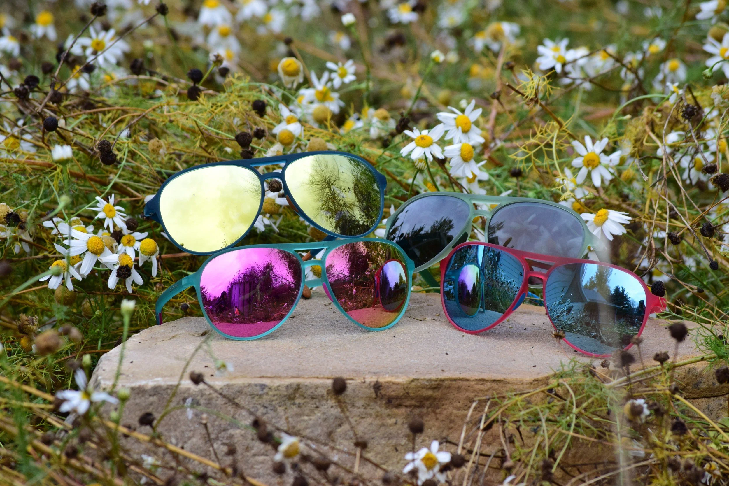 Das Optics Deputy polarized aviator sunglasses in four colors with mirrored lenses, outdoors among daisies