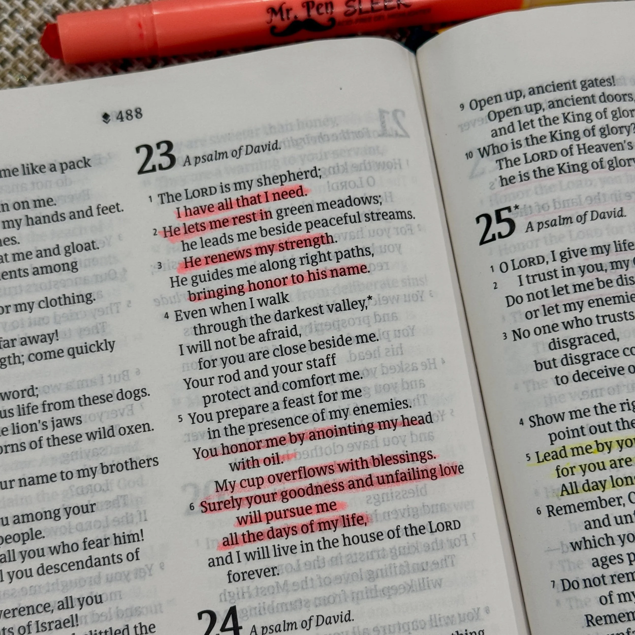 A psalm for October 23. A reminder that in the midst of this season of my life, I have all that I need, rest is a gift, He gives me strength and continues to use me. 

May the Lord&rsquo;s goodness and unfailing love pursue you 🙏🏽

#christiandevoti