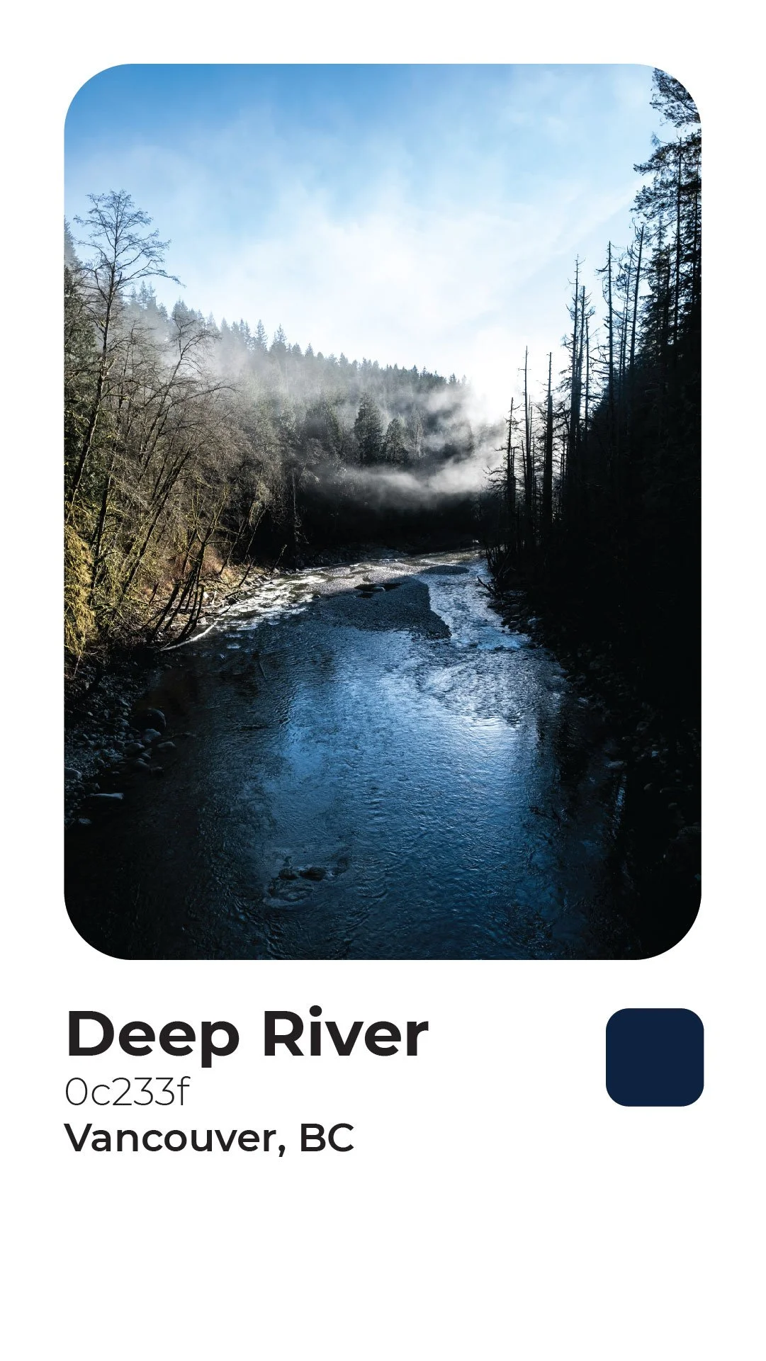 Rogerie Colors Polaroid-14.jpg