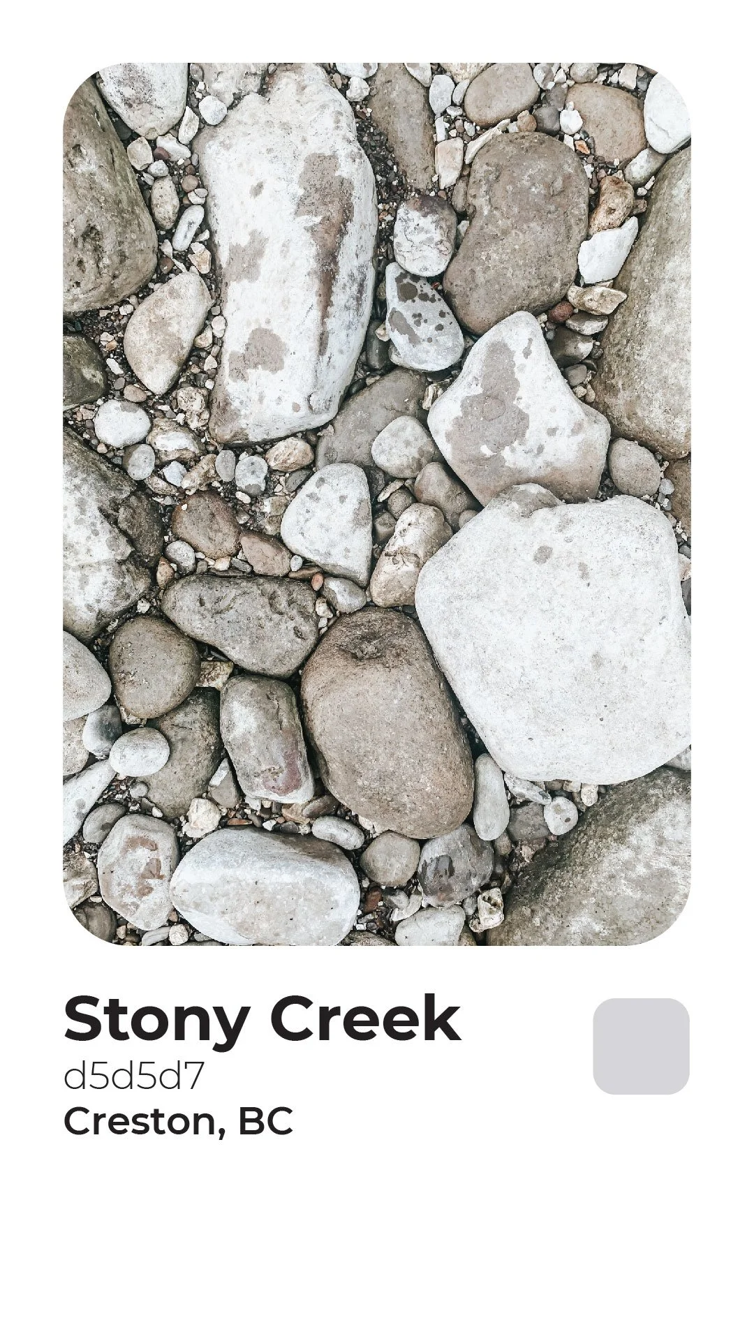 Rogerie Colors Polaroid-02.jpg