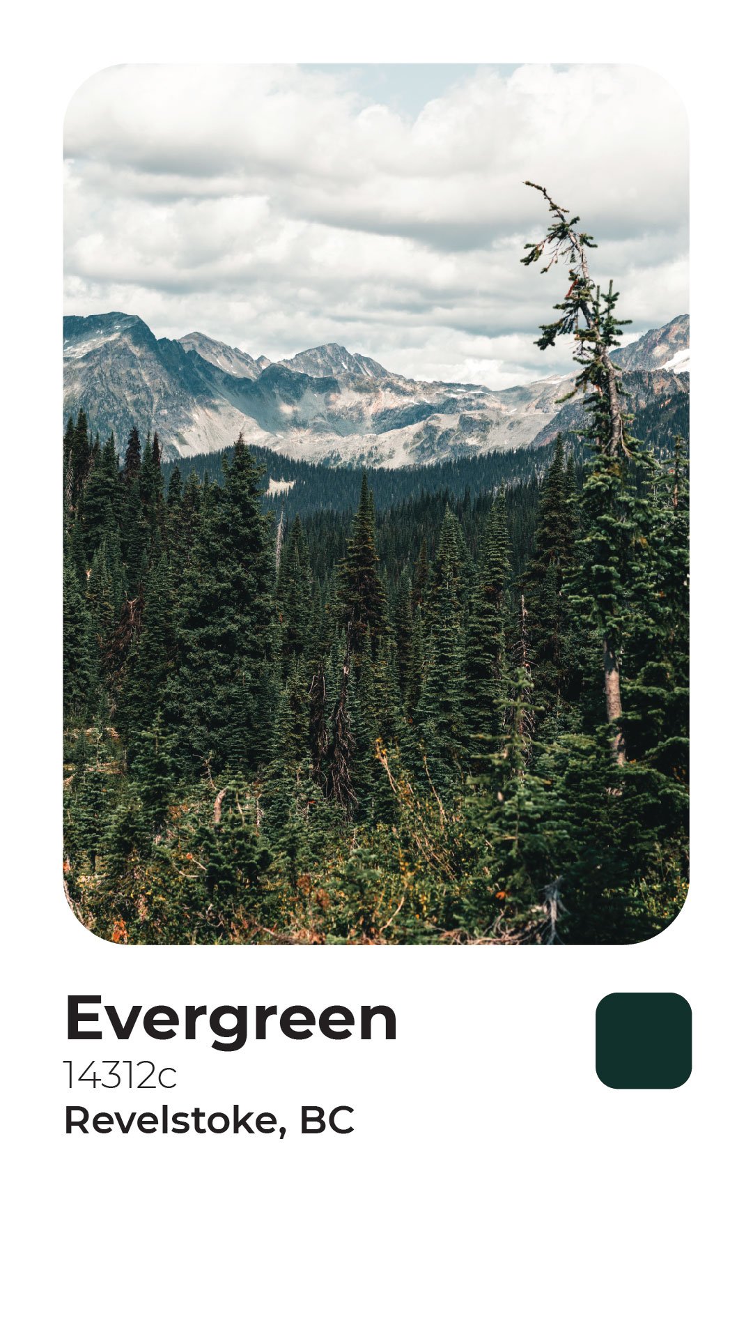 Rogerie Colors Polaroid-15.jpg