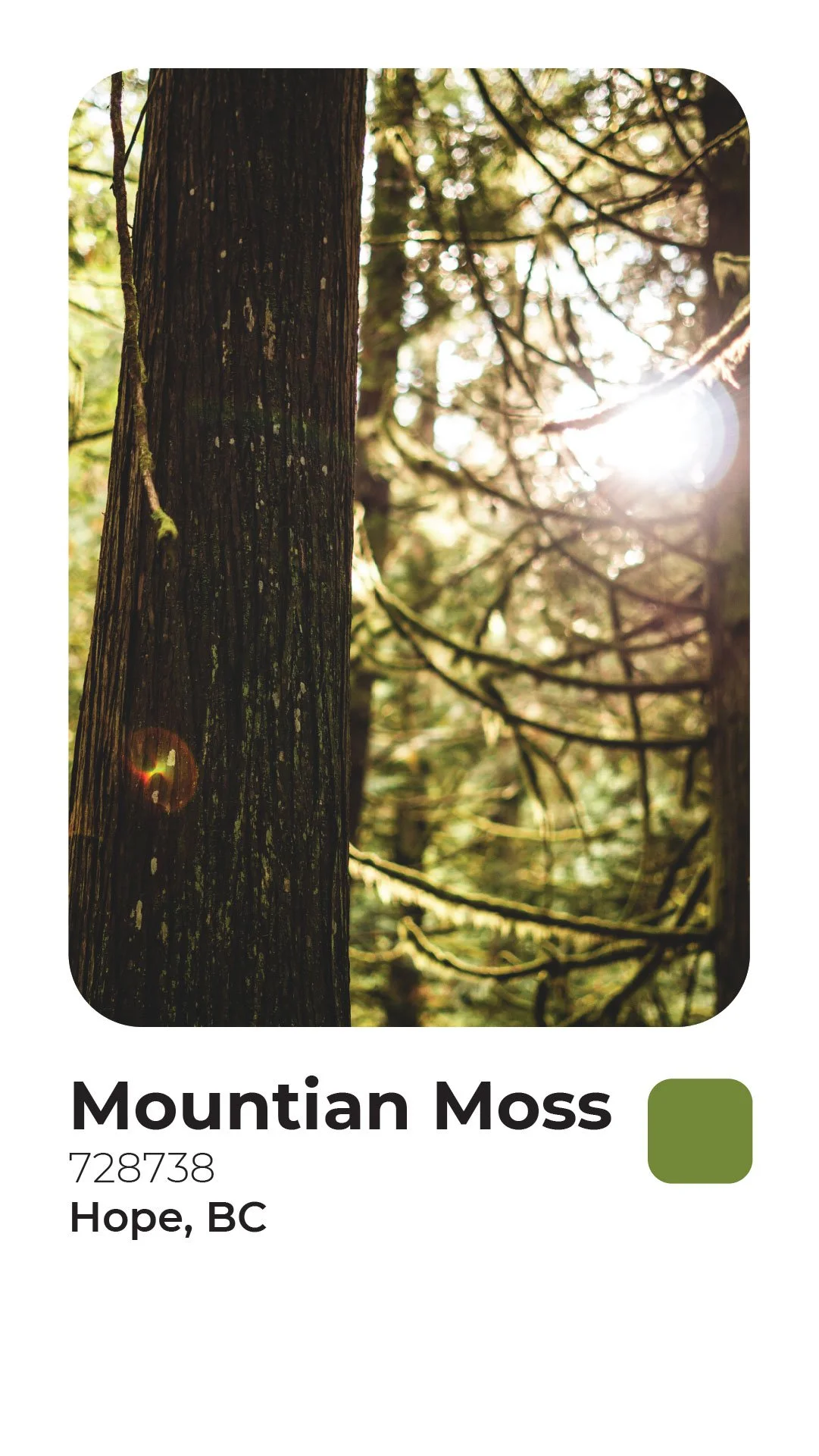 Rogerie Colors Polaroid-16.jpg