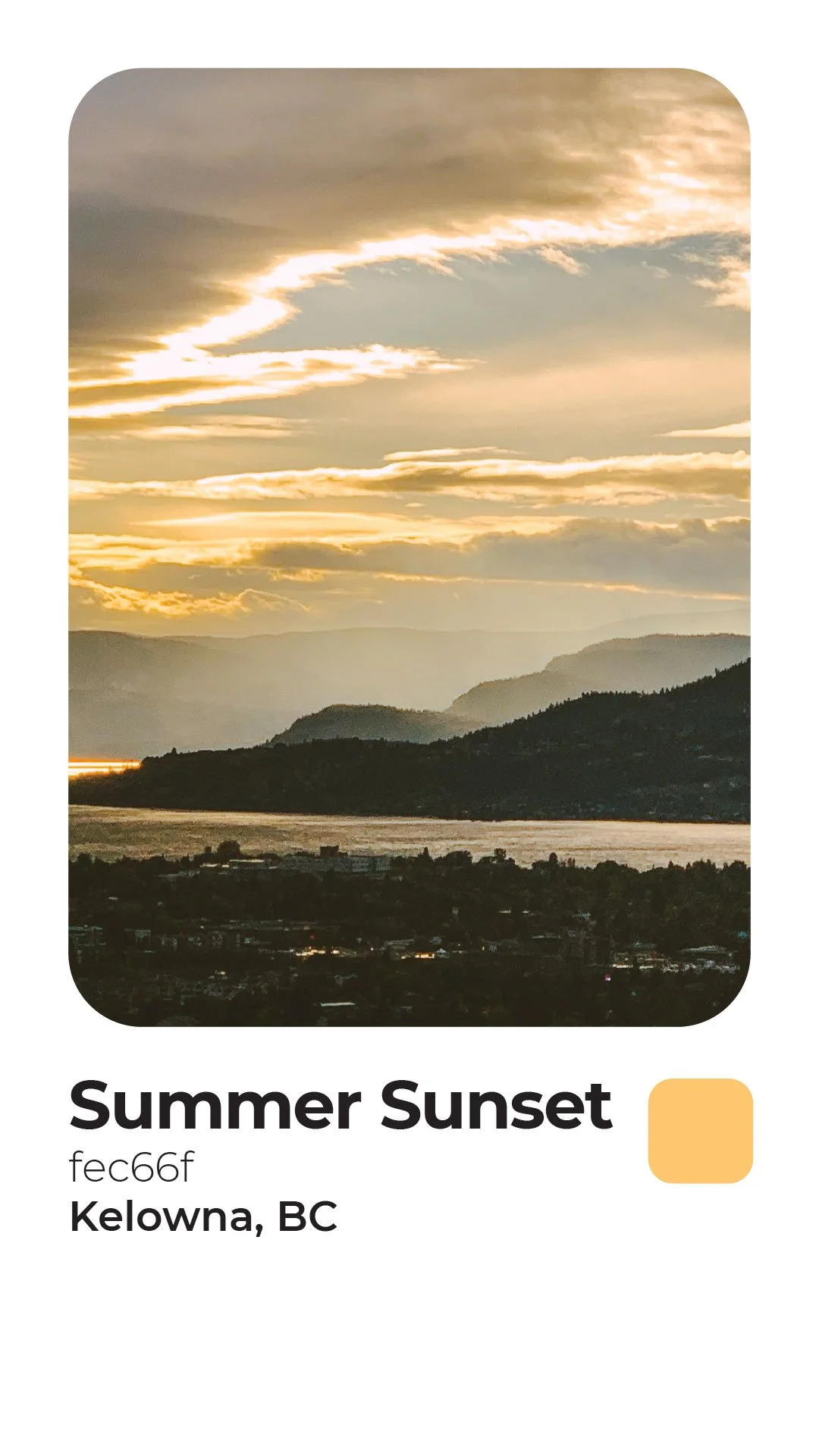 Rogerie Colors Polaroid-07.jpg