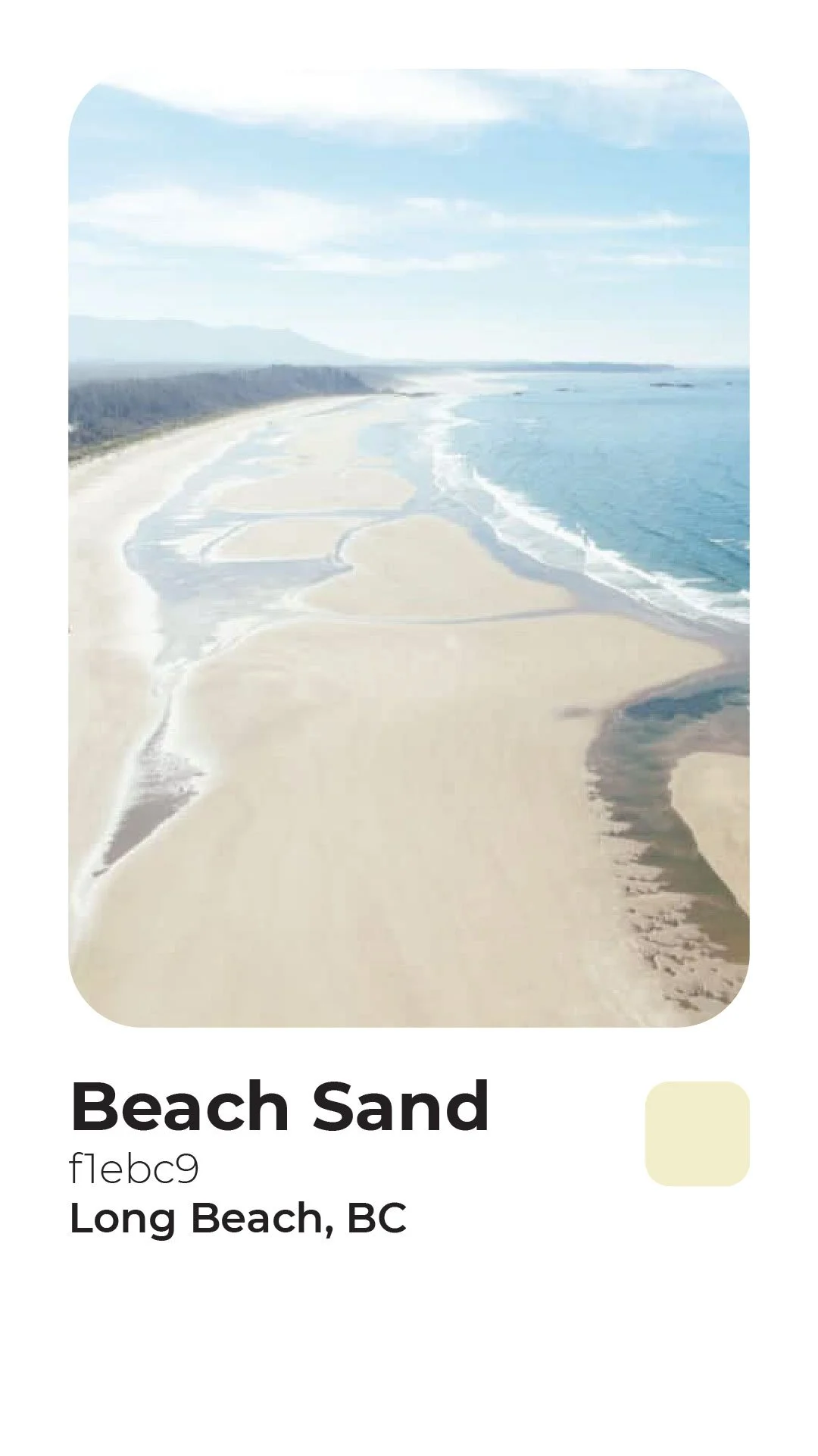 Rogerie Colors Polaroid-05.jpg