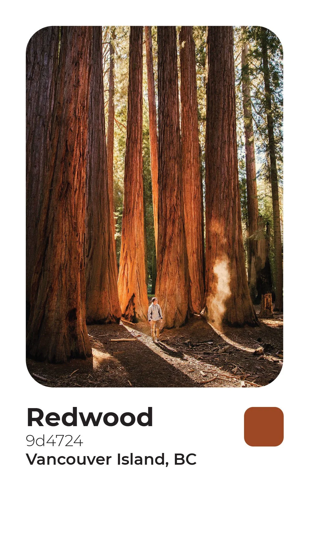 Rogerie Colors Polaroid-09.jpg