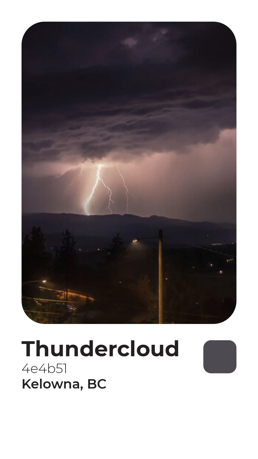 Rogerie Colors Polaroid-03.jpg