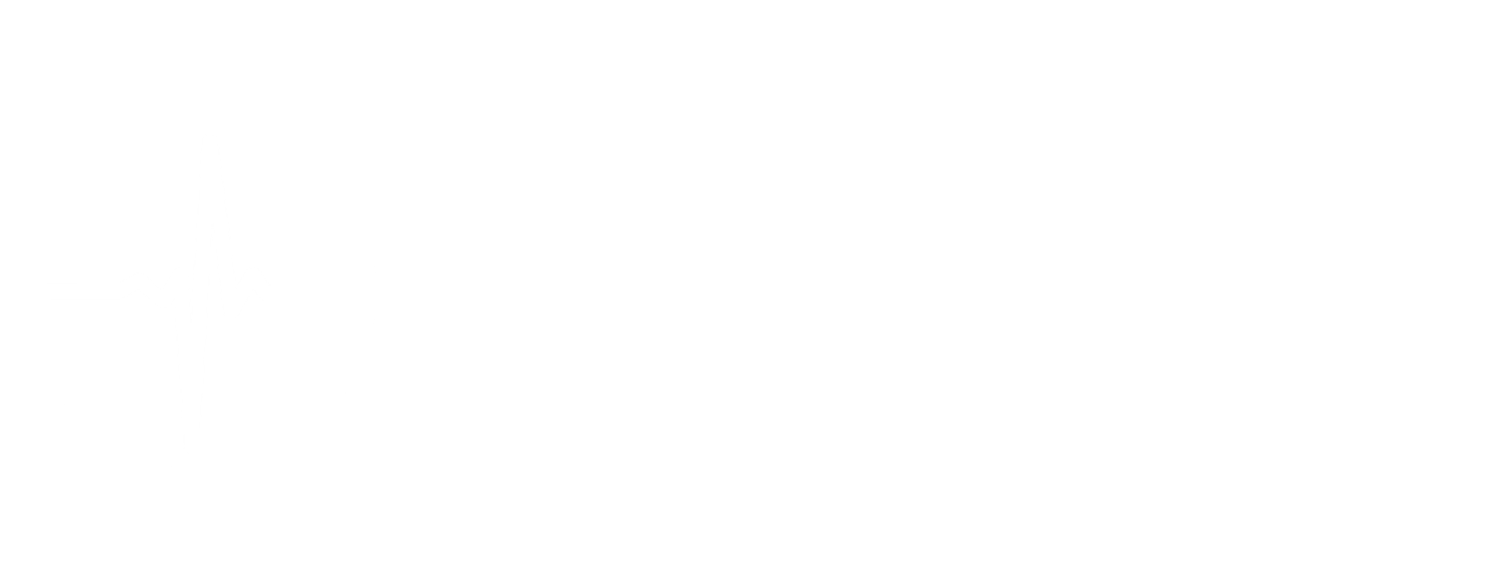 Diagnostic Mechanic