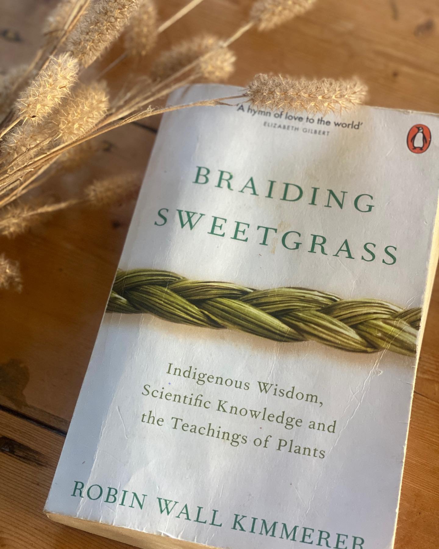 EARTH DAY EARTH YEAR EARTH LIFE

🌿🌊🍂

These celebrations or ceremony help us to remember what to remember as Robin Wall Kimmerer talks about in her book Braiding Sweetgrass.

I wonder what the world would be like if everyone, or even 10-20% of the