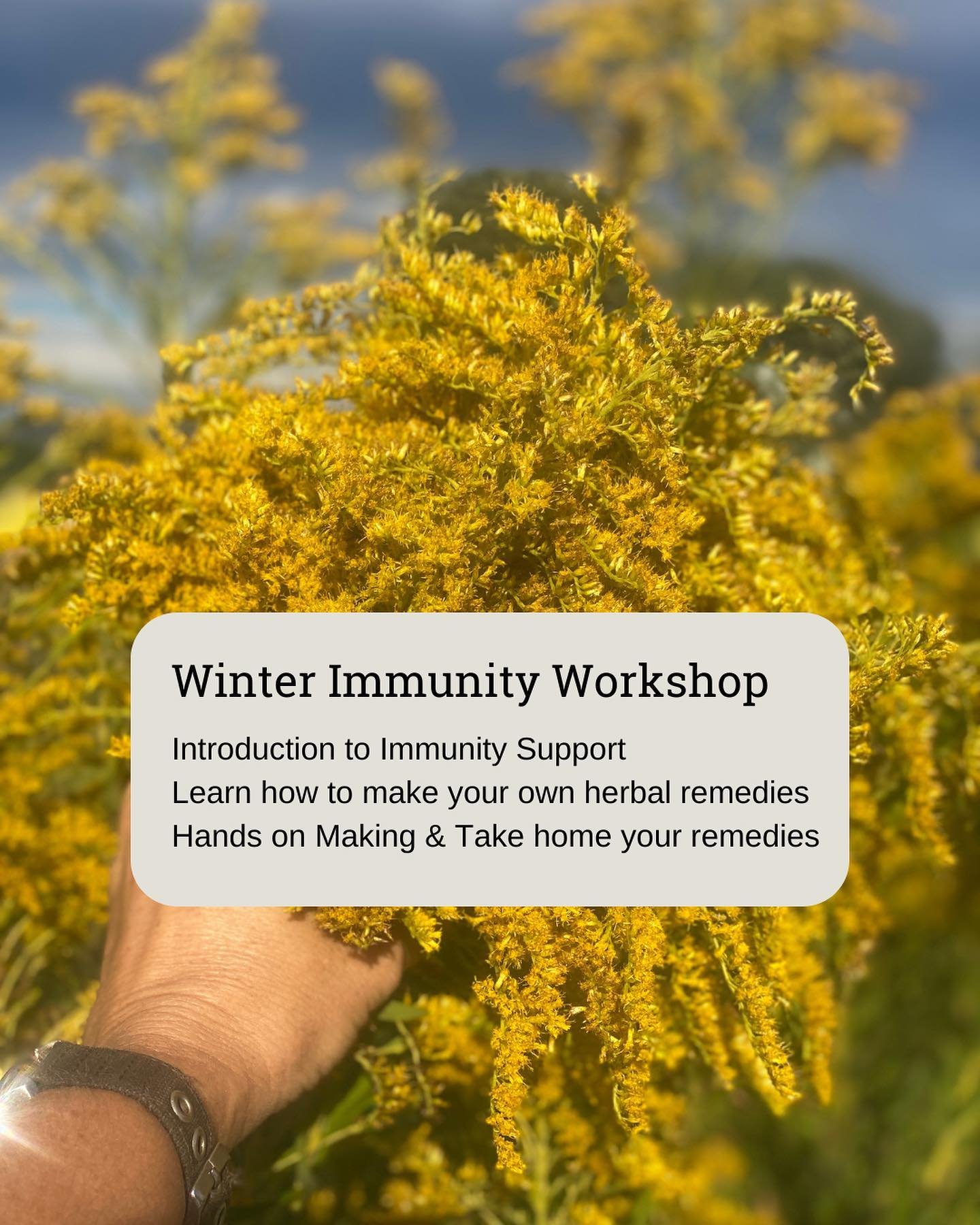 In person fun herbal remedy making workshop!

Saturday 4th May 12-2pm
At N&amp;B @dairy_road 

Bookings online 
Link in bio and on website

Reach out if you have any questions

See you there

#nourishandbreathe #herbalmedicine #winterimmunity #canber