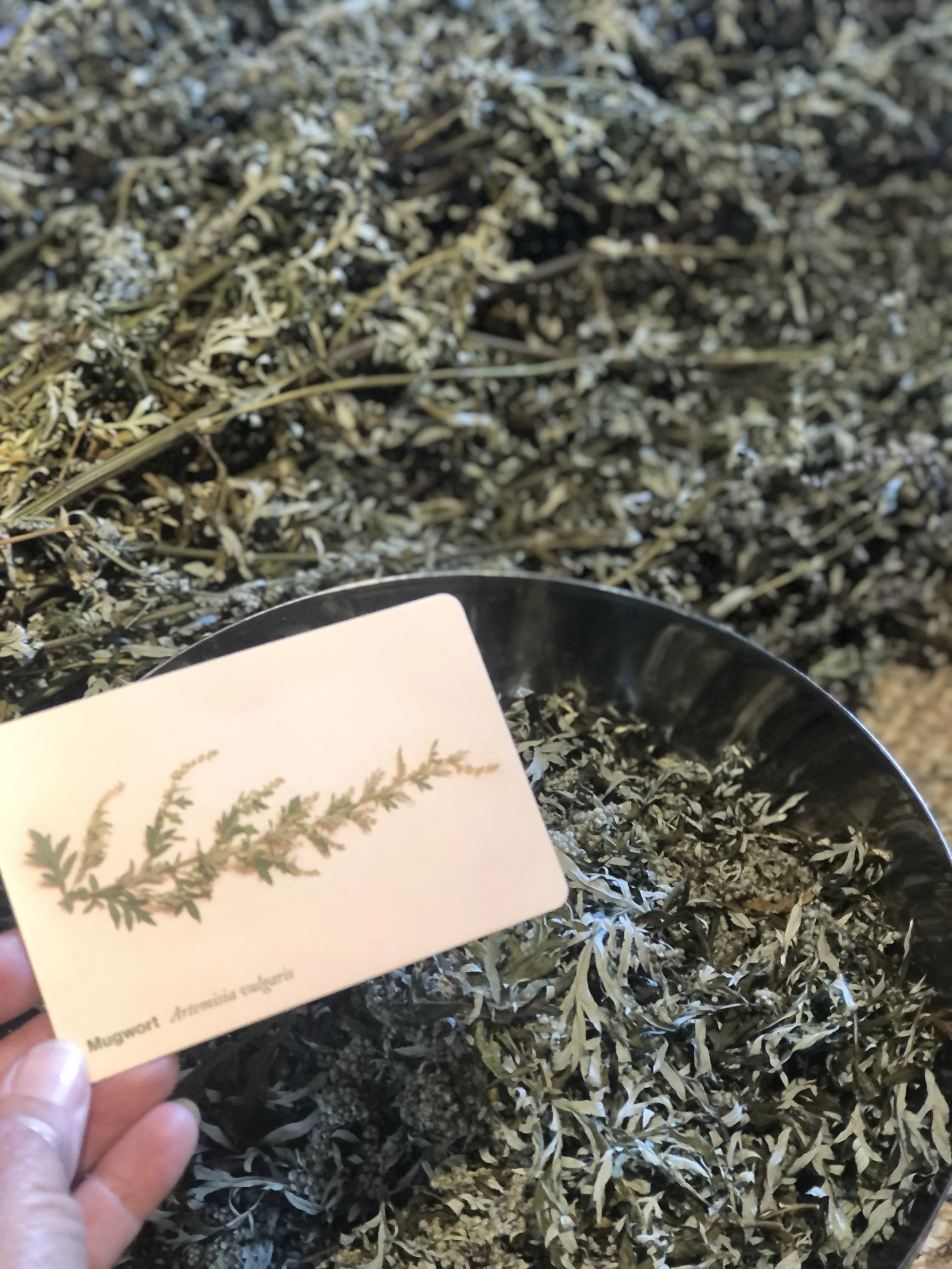 Home Herbalist Series - Session2