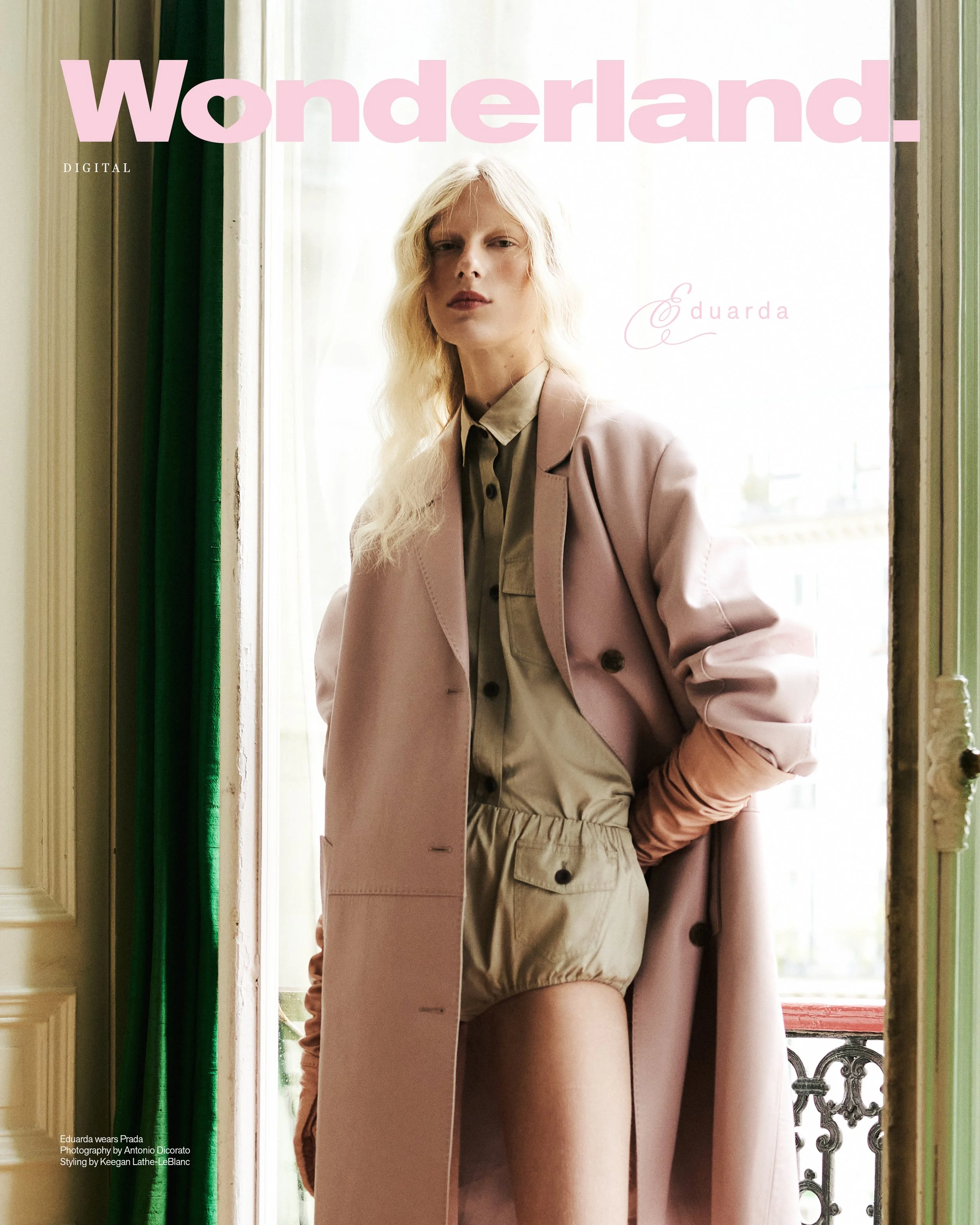 (1) DIG COVER.jpg