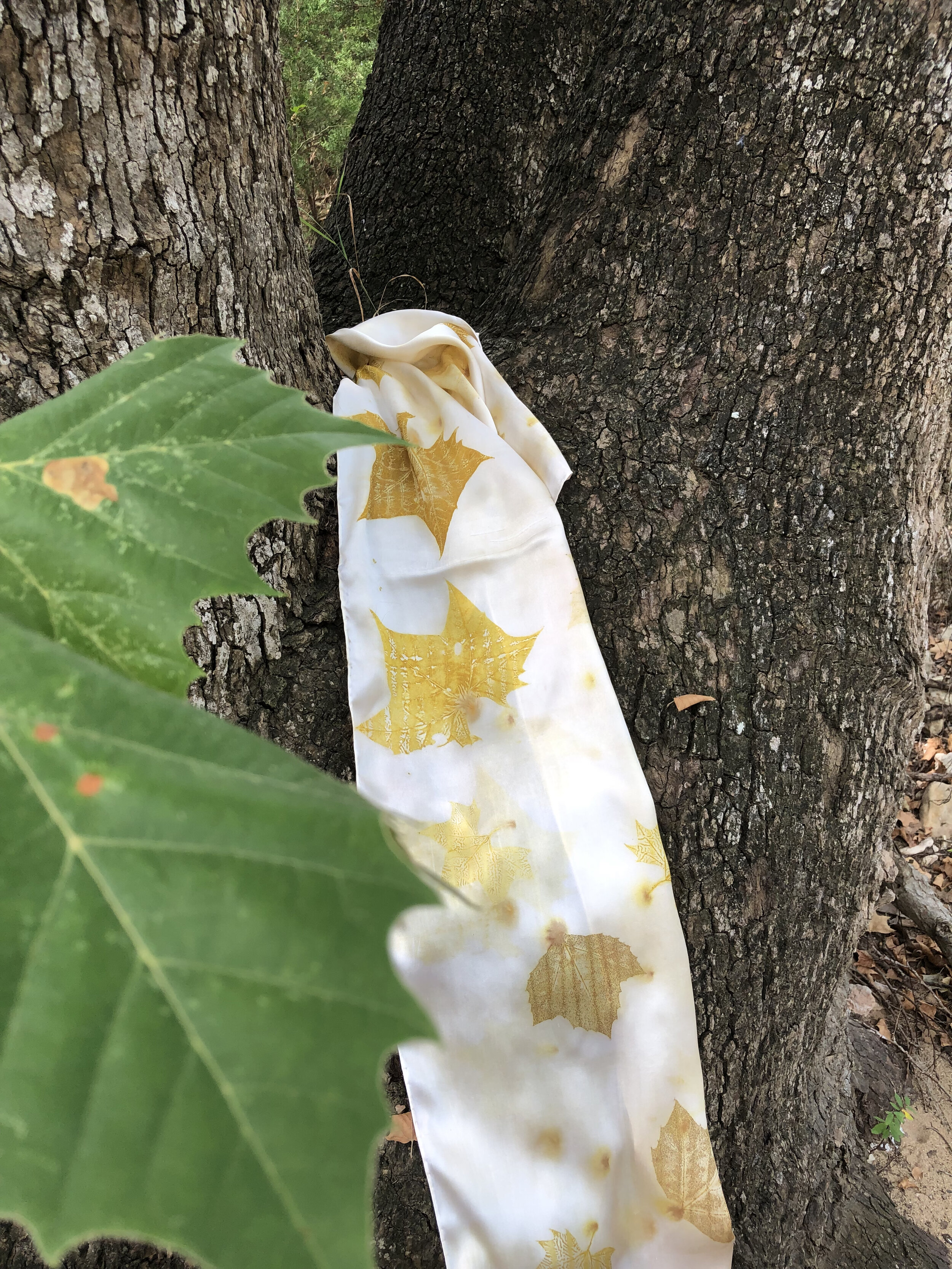 Scarf 716.14.S.jpg