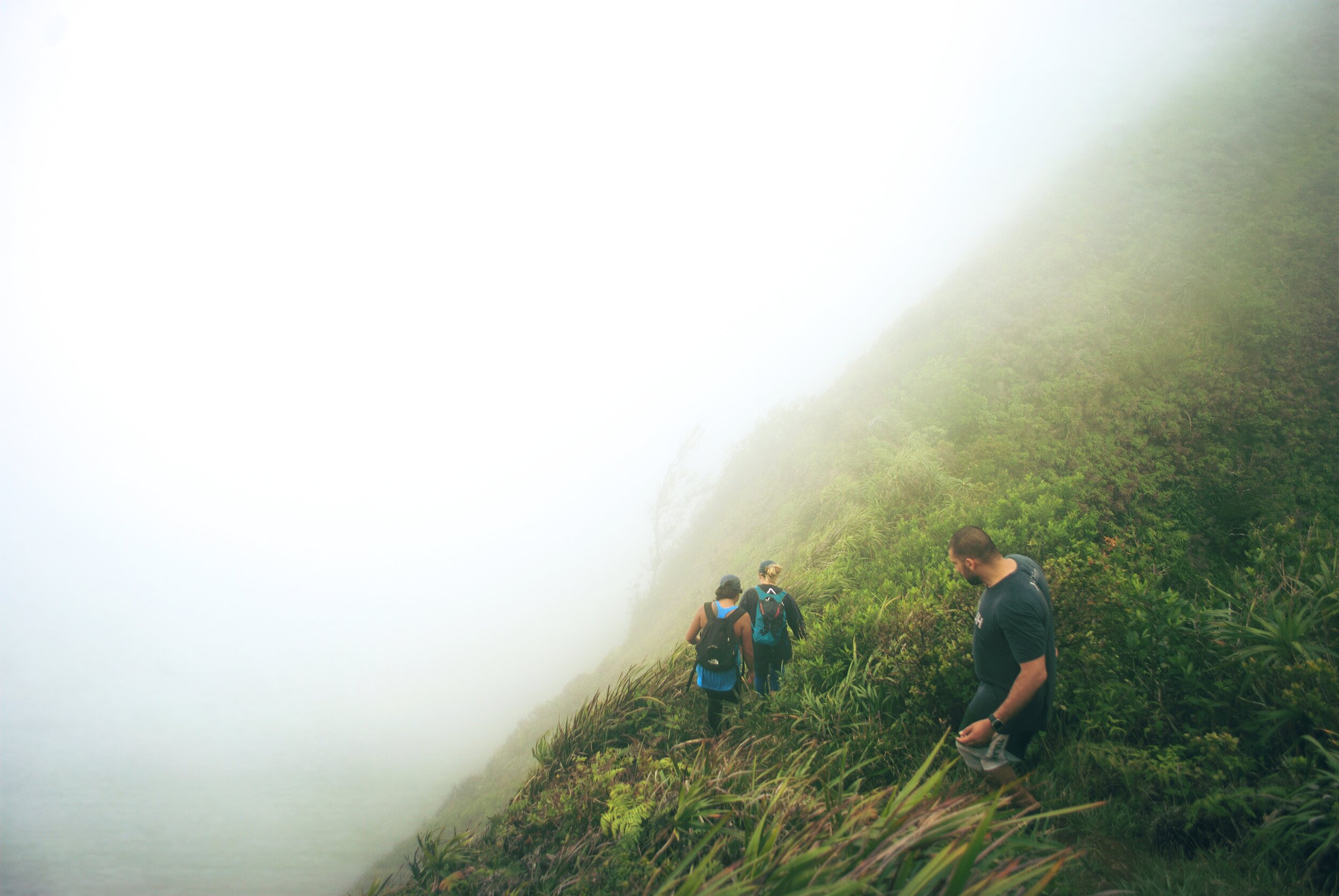 Sierra club hiking trips cheap