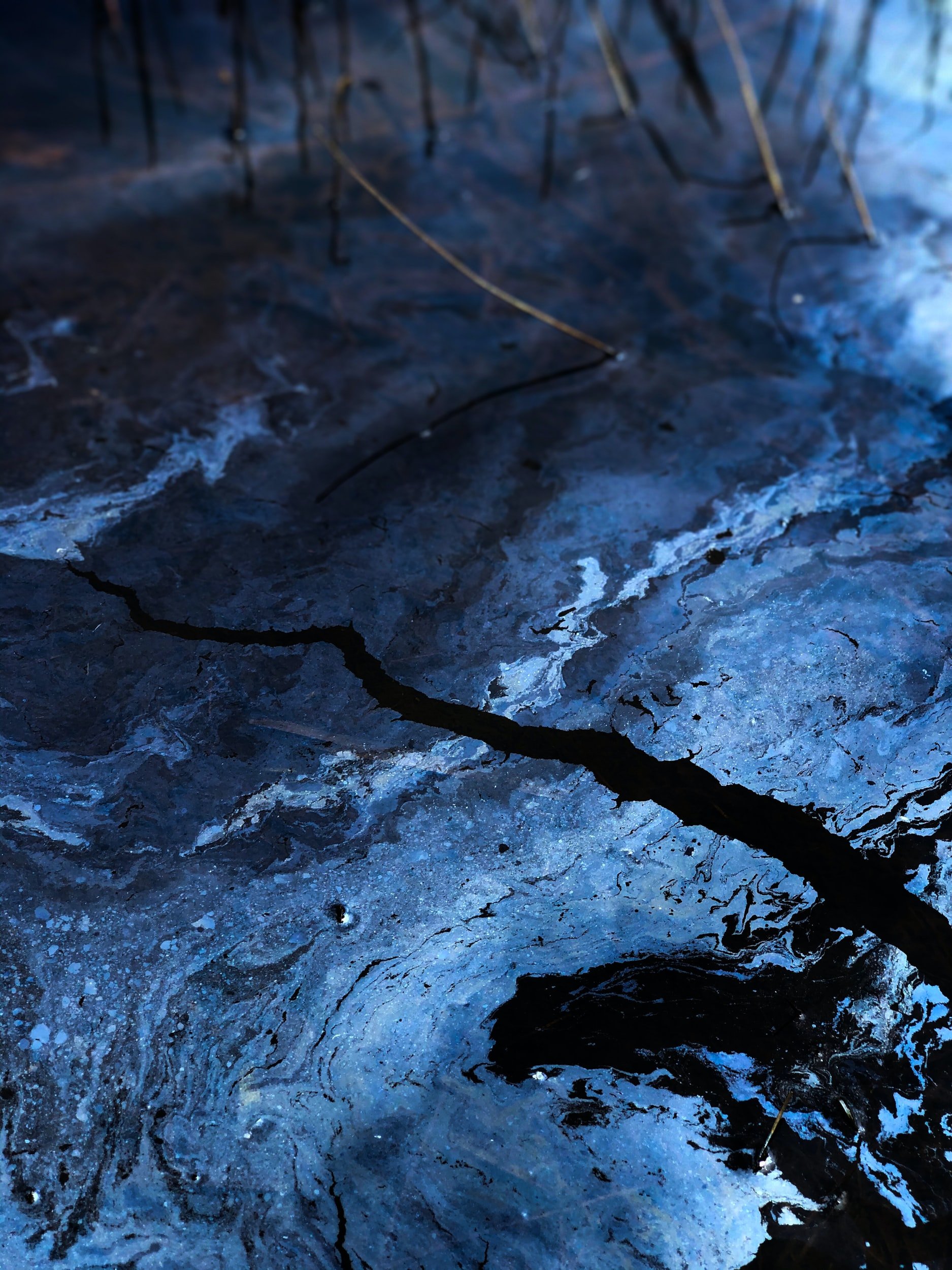 Navy water sampling at Red Hill well showed petroleum contamination months ago