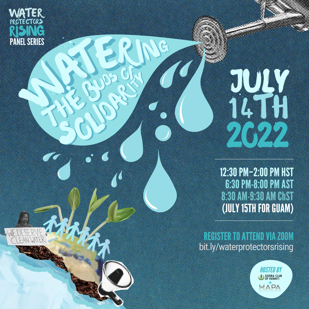 Water Protectors Rising Panel Series – Panel #2: Watering the Buds of Solidarity