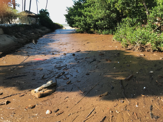  January 2024 rainstorms brought waves of mud and debris into south maui ocean waters. 