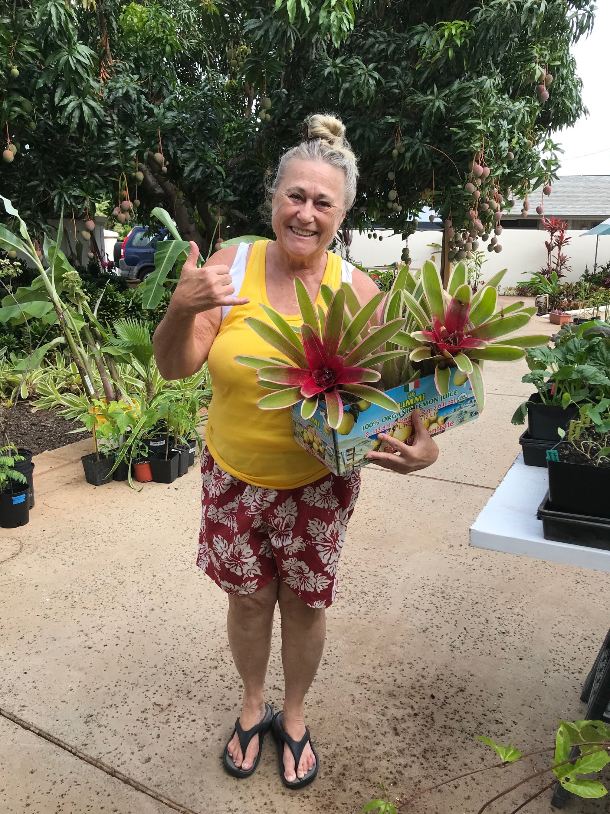 Picture yourself at the Sierra Club Maui Mother’s Day Plant and Yard Sale.&nbsp; Photo: Lucienne de Naie