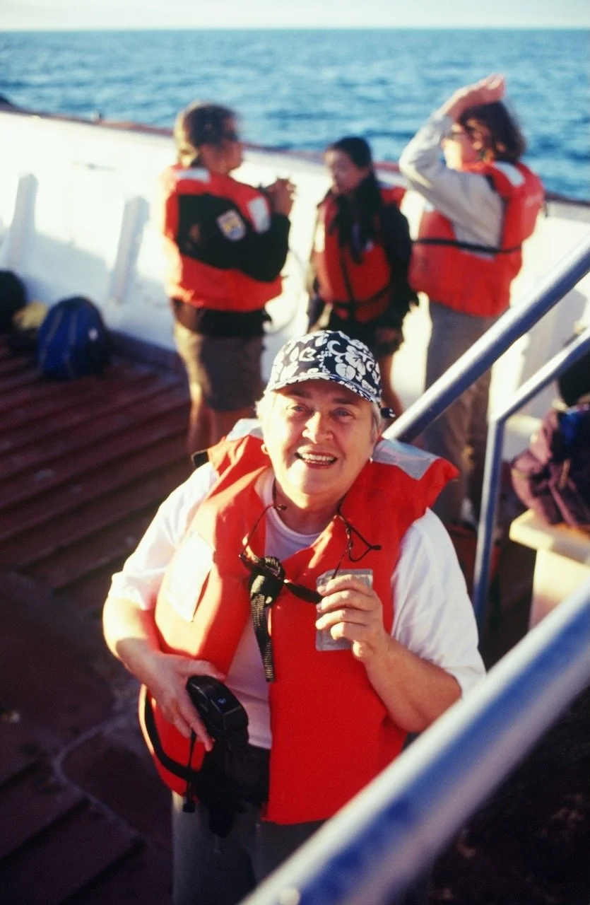 Midway Atoll, 2001. Photo: Jim Waddington