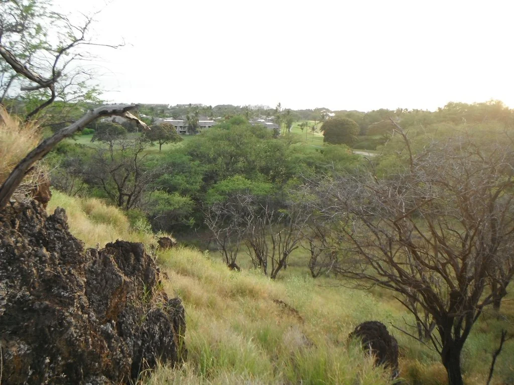 Rugged, rocky slopes of Paeahu’s last undeveloped lands