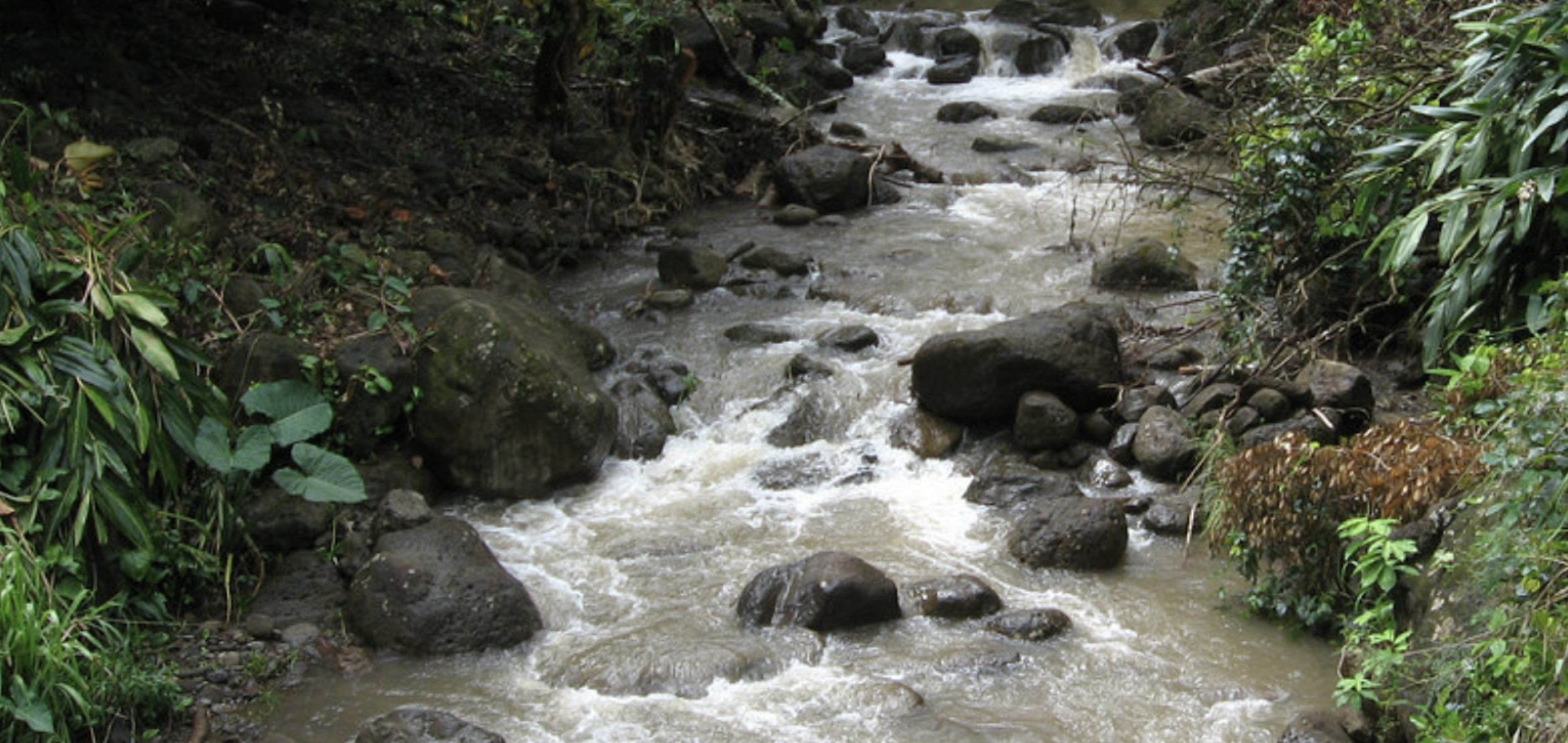 Sierra Club Appeals BLNR’s Unconstitutional Rejection of Due Process, Public Trust in East Maui