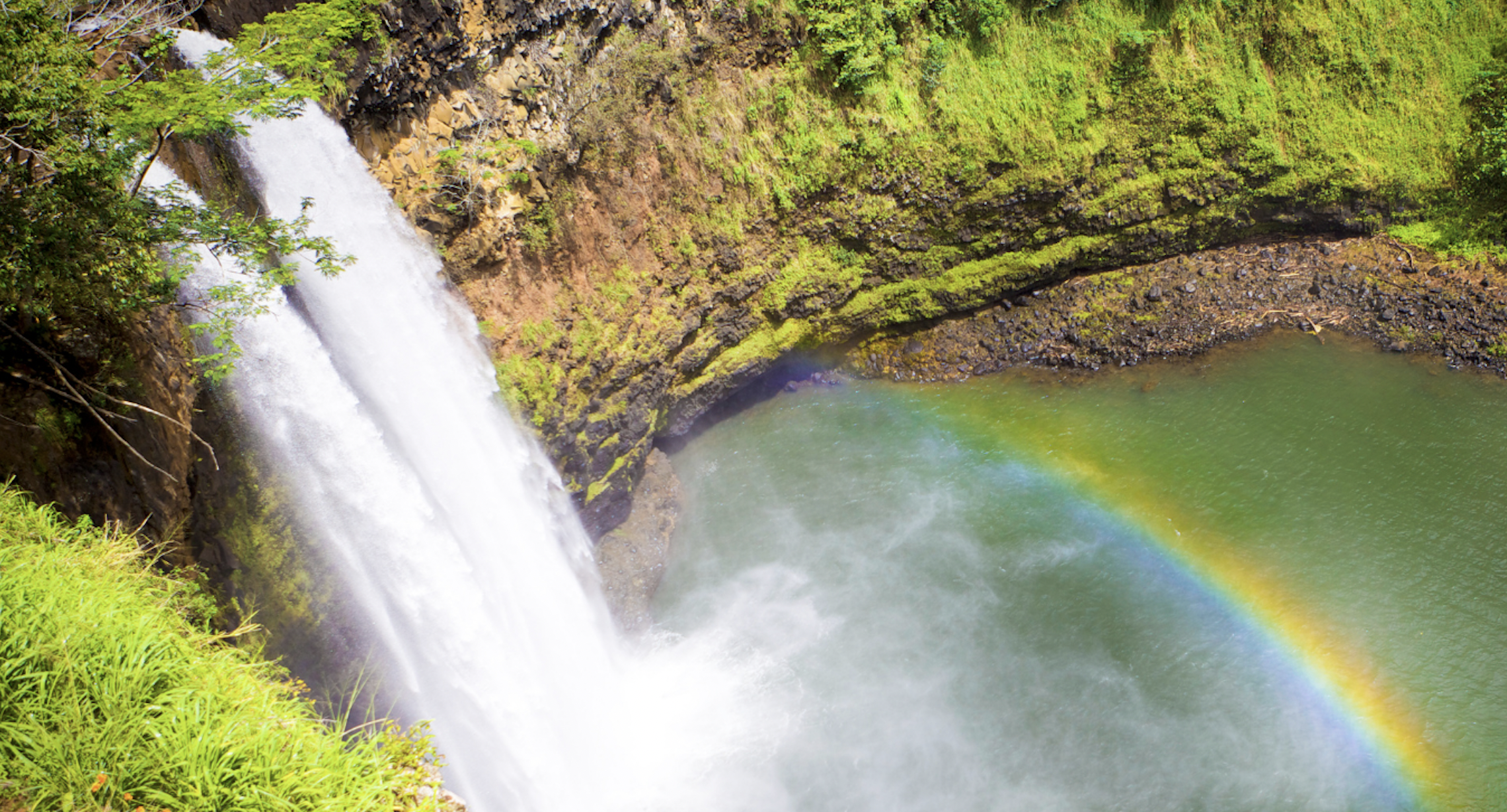 Small Gifts, Big Impact: Support Our Work with a Monthly Gift