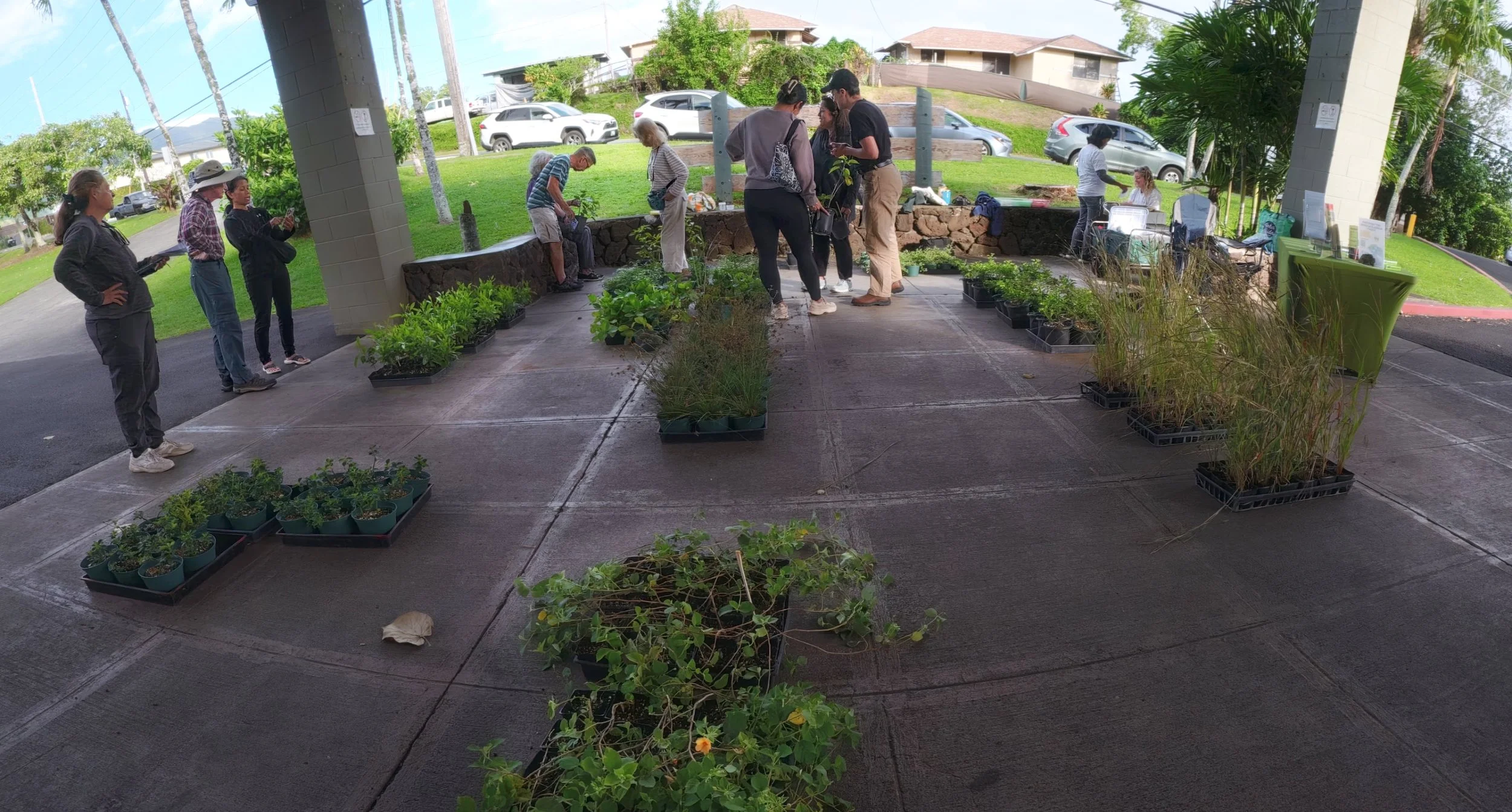 55045634107_de60542d82_o (1).jpg