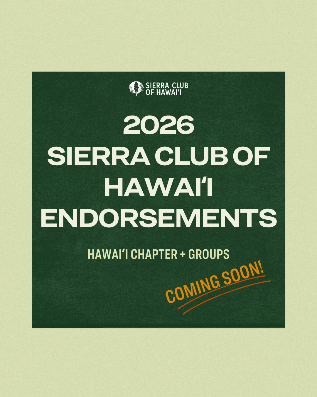 Campaign Endorsements Coming Soon!