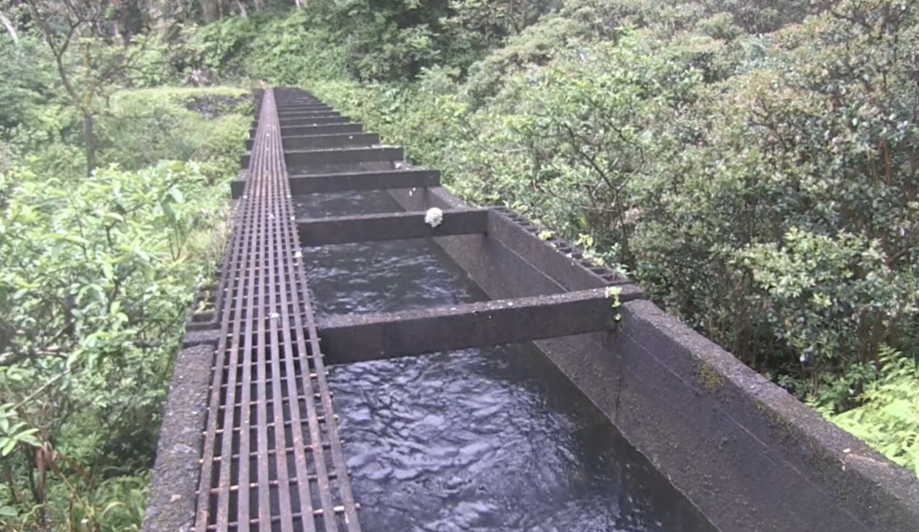 The Saga Continues: Sierra Club’s Ongoing Fight to Protect East Maui’s Streams