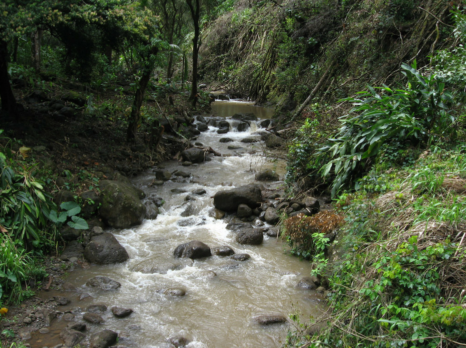 East Maui Water Diversion Permits Ruled Illegal - Environmental Court imposes strict conditions on continued stream diversions until due process, public trust issues resolved