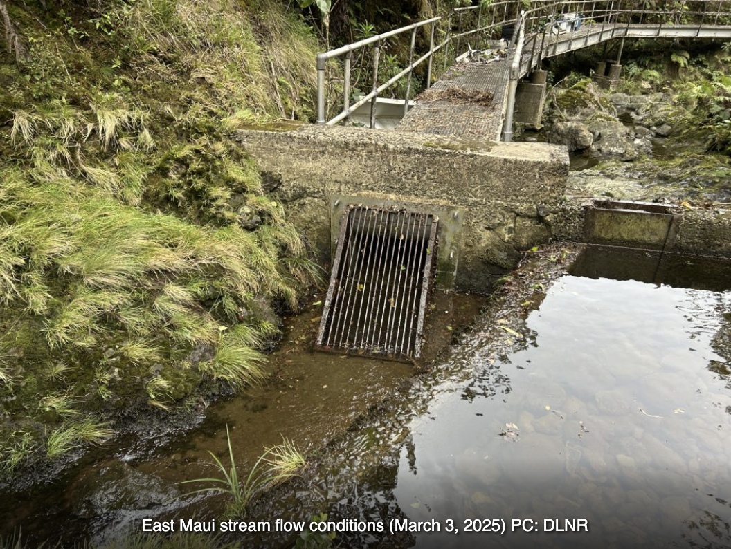 Victory for Wai: BLNR Unanimously Rejects D-7 Water License