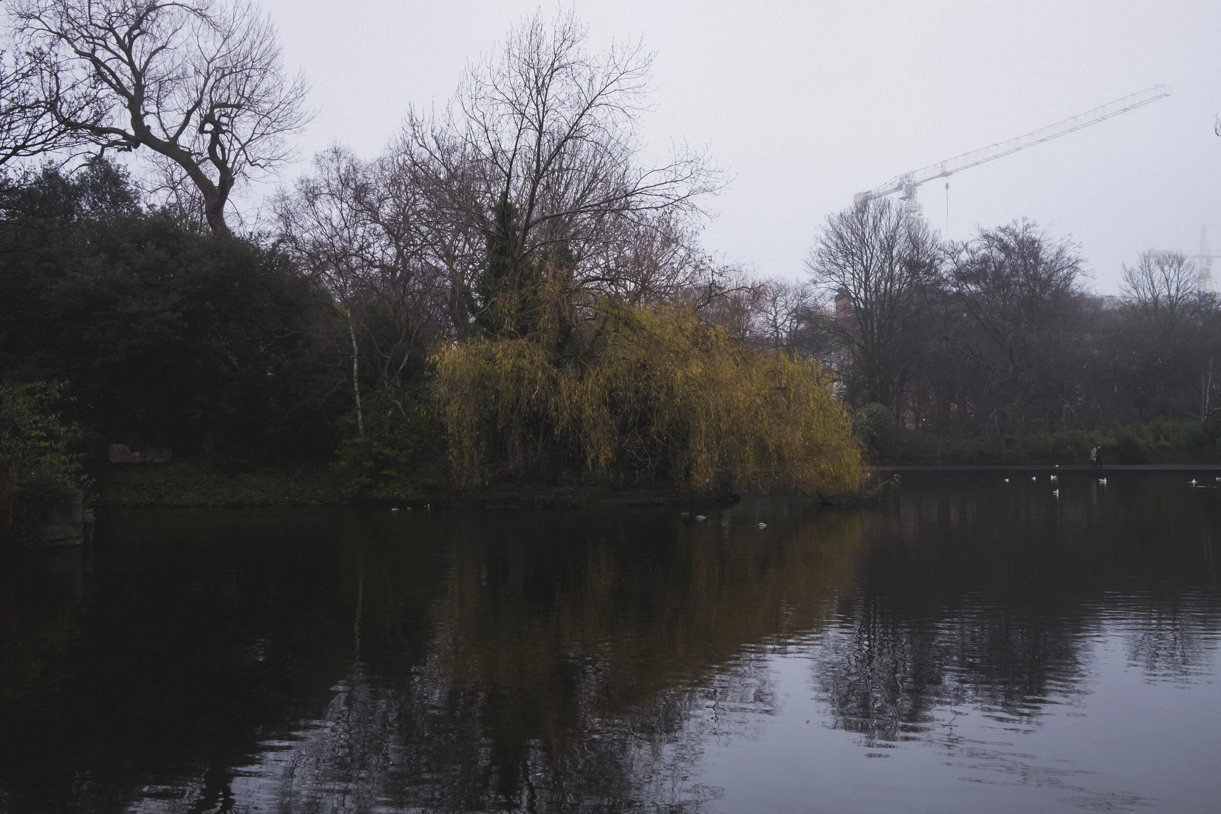 DSCF9774.jpg