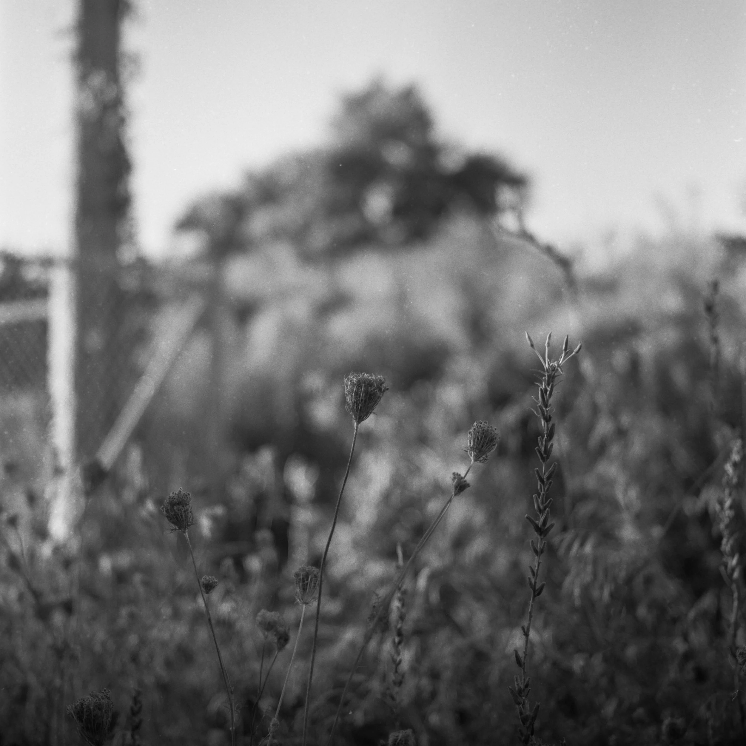 R380-AUG25-500CM-HP5-400-004.JPG