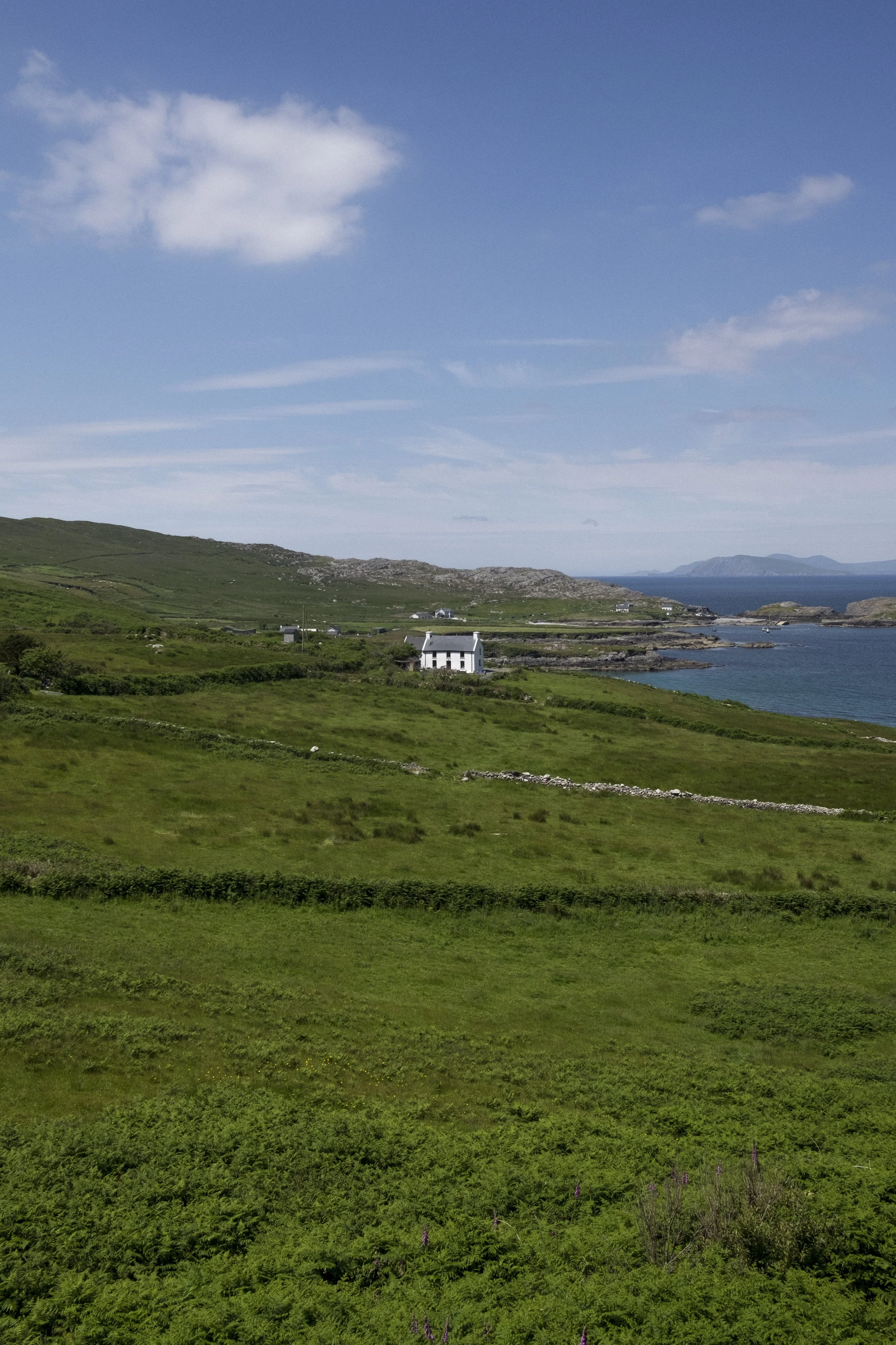 DSCF0390.jpg