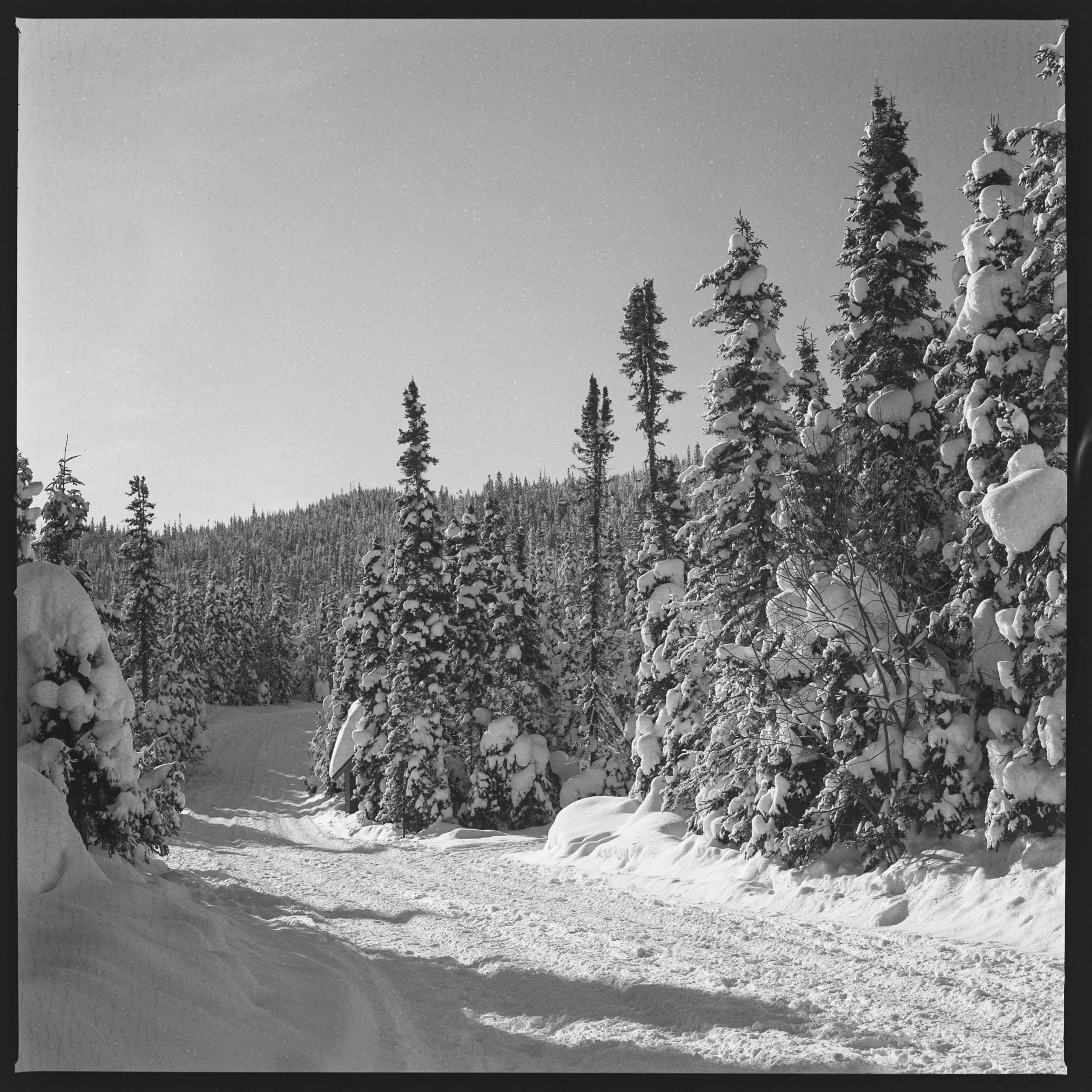R1-02118-0006.JPG