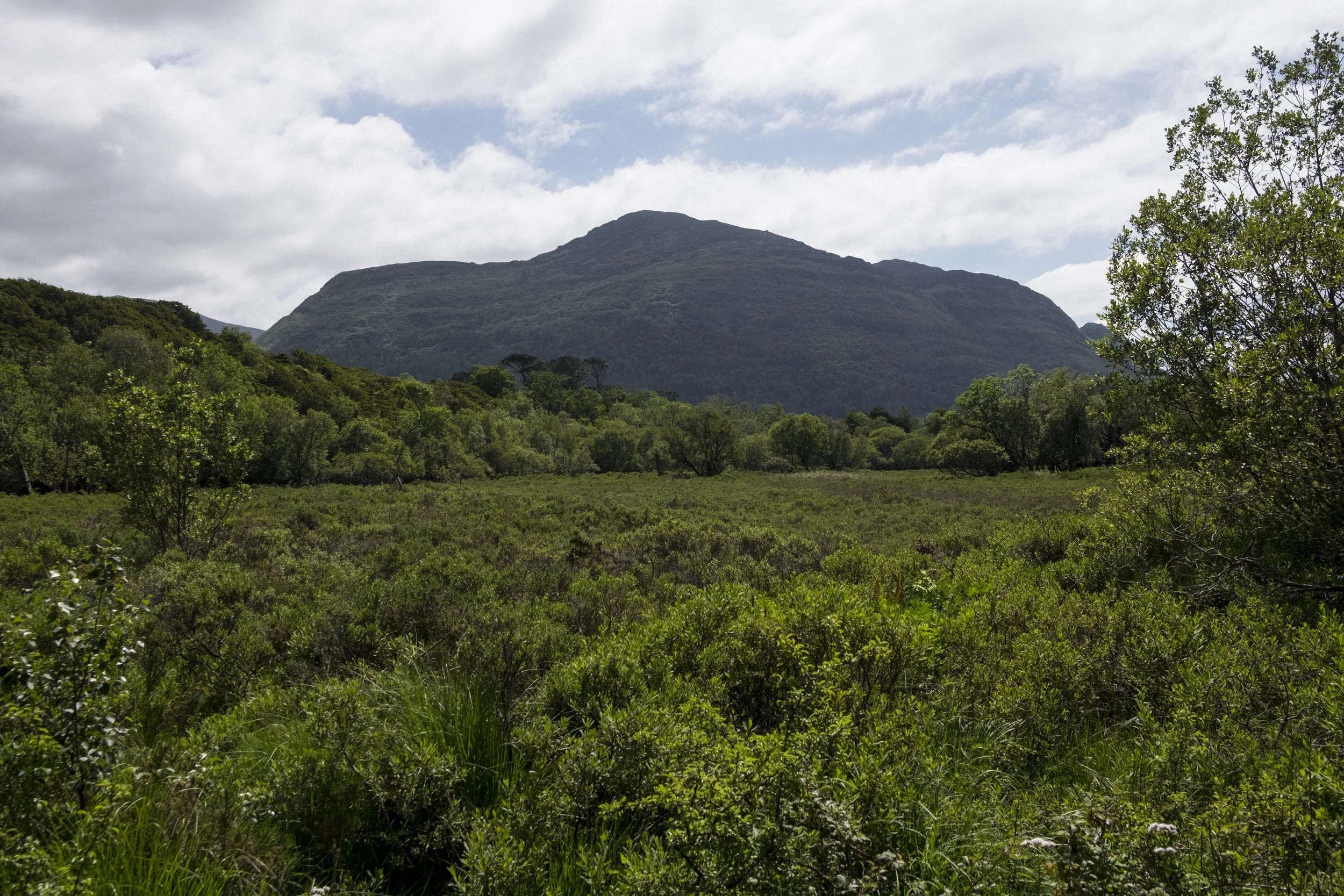 DSCF0492.jpg
