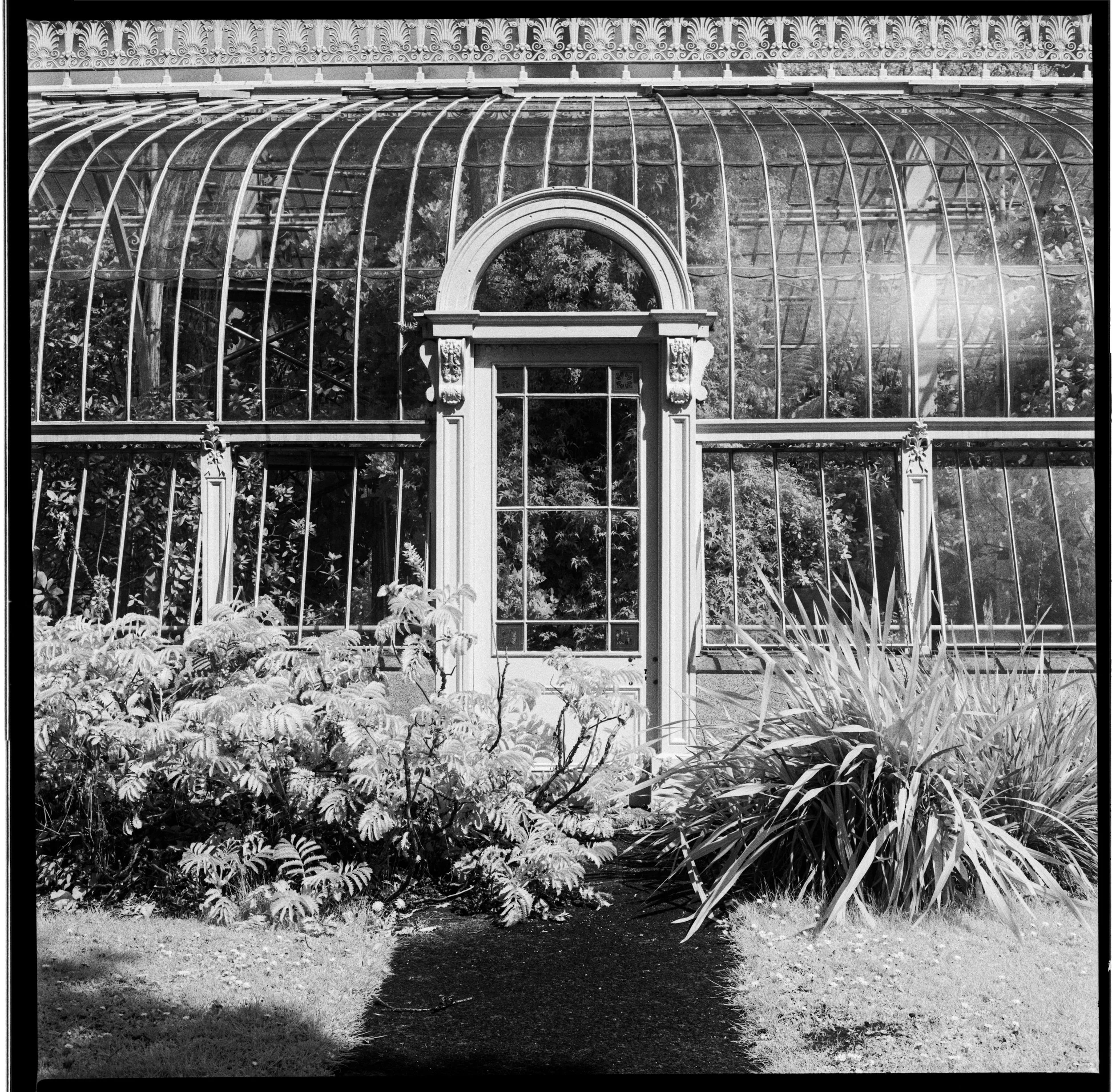 2022-04-16 Y124GIR400 botgarden_3.jpg