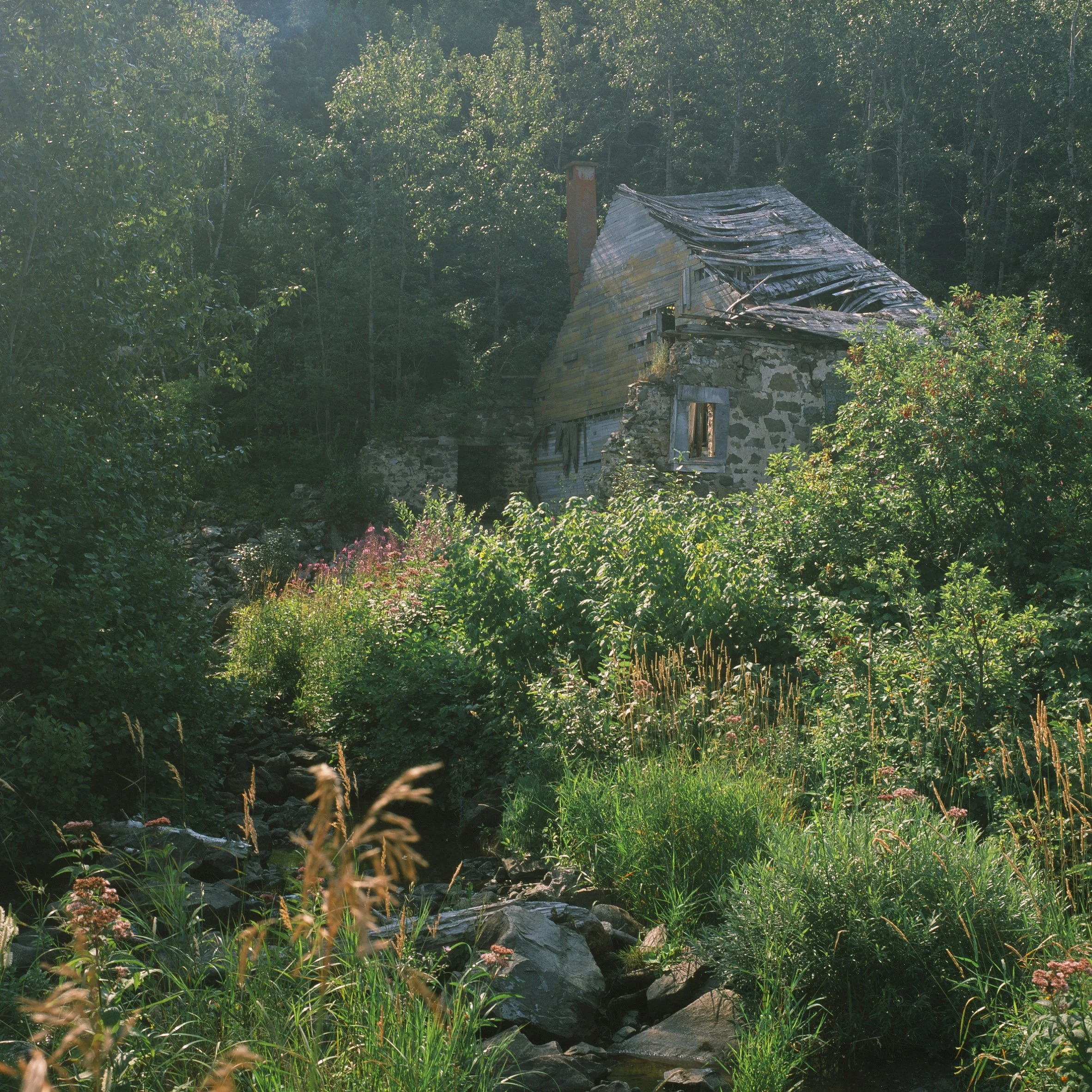 1647-04.JPG