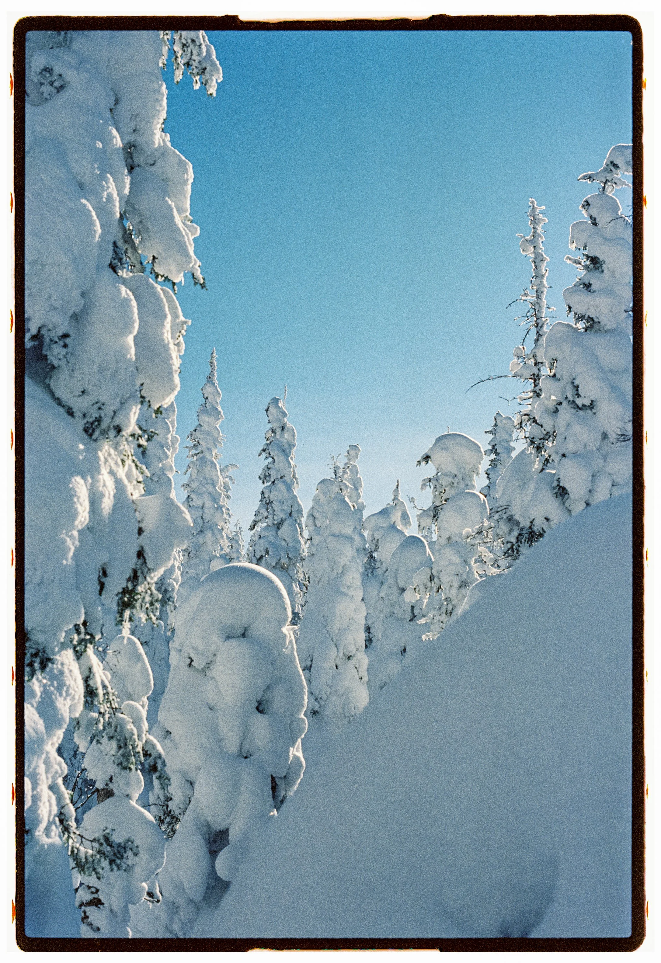 R1-02121-0005 - Copy.JPG