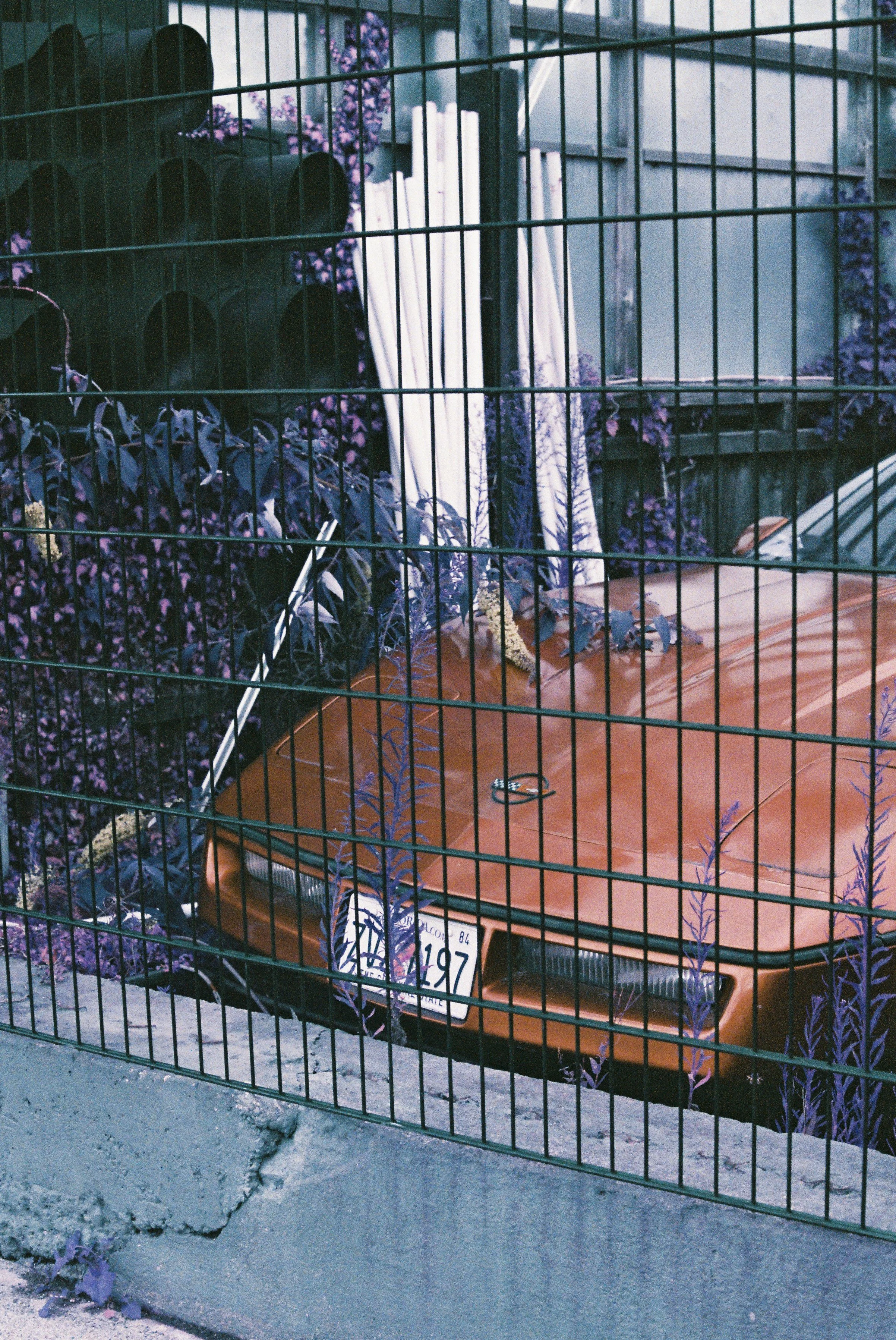 000029.jpg