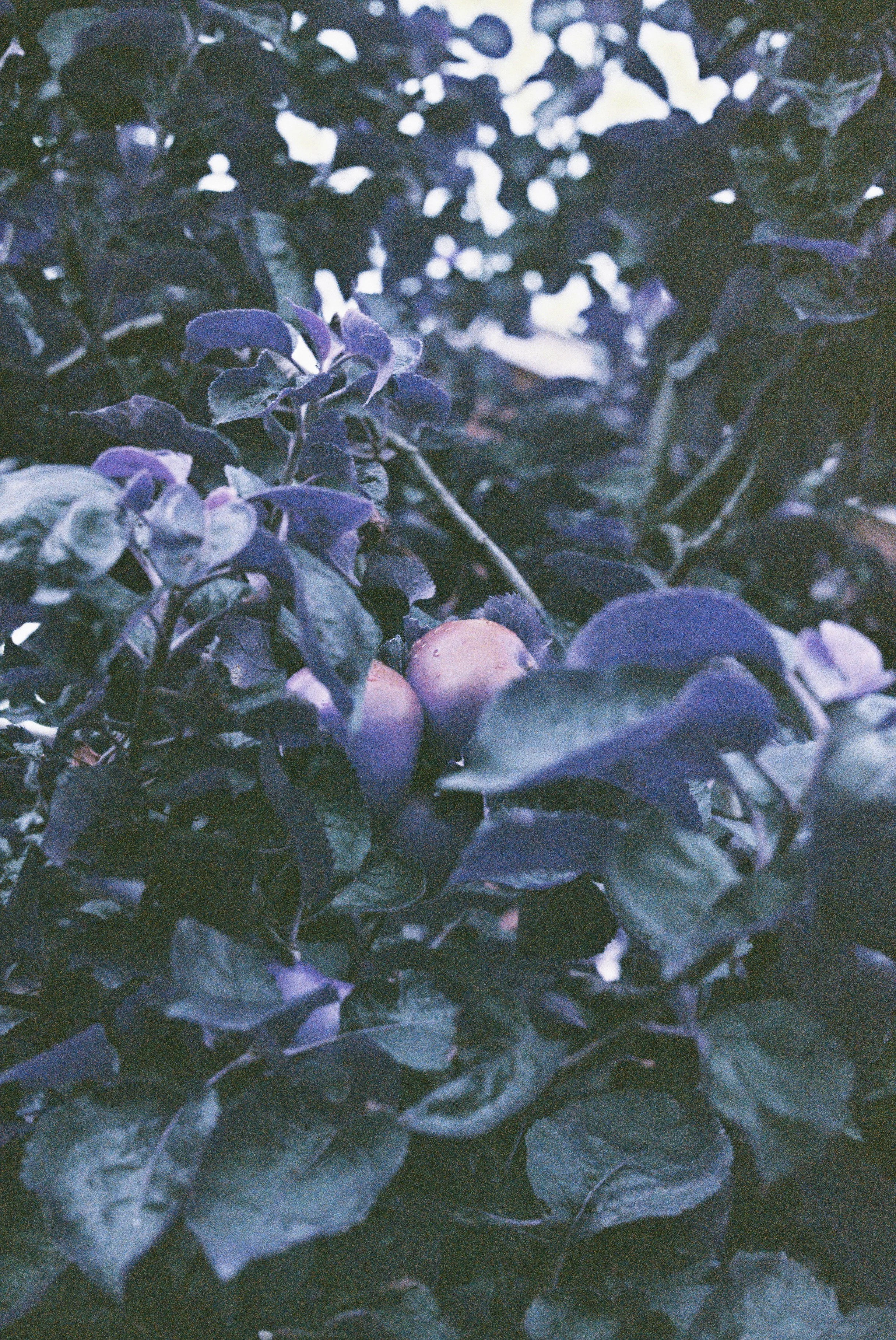 000025.jpg