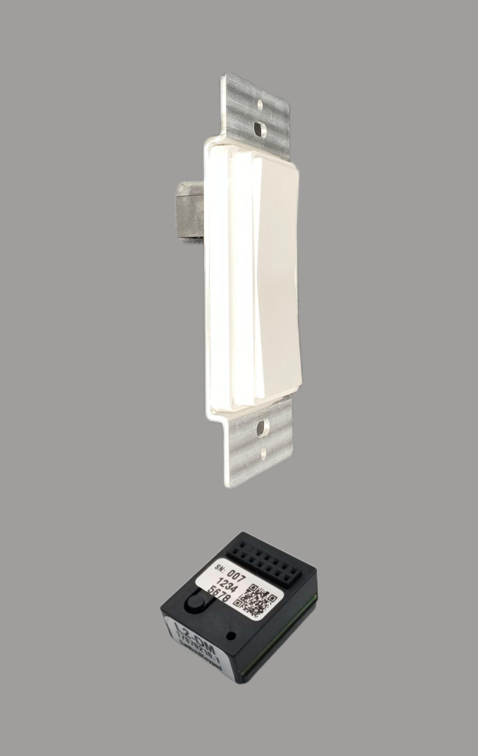 Switch and Switch Puck.jpg